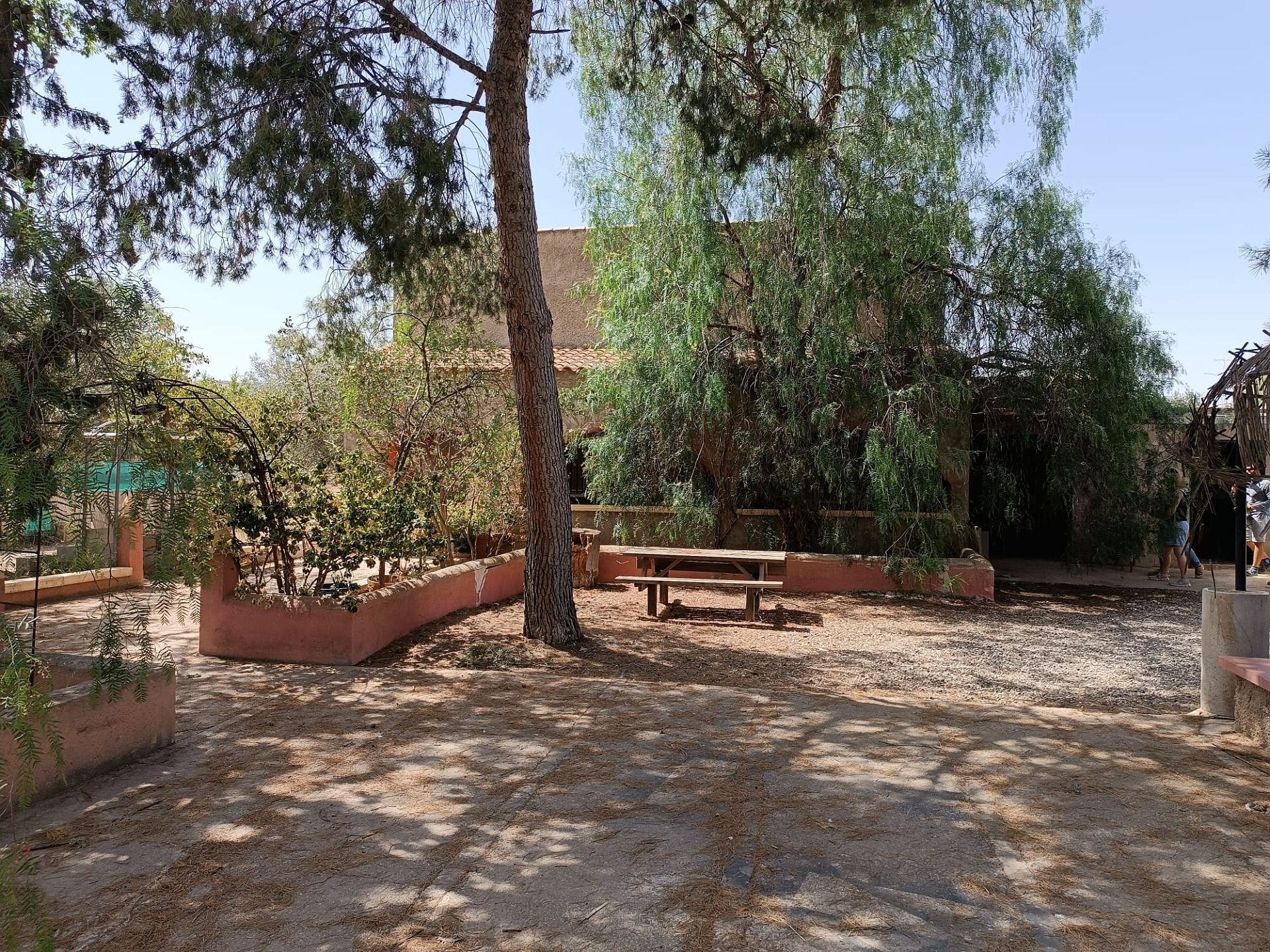 w_whatsapp-image-2025-07-15-at-16.36.39-8-