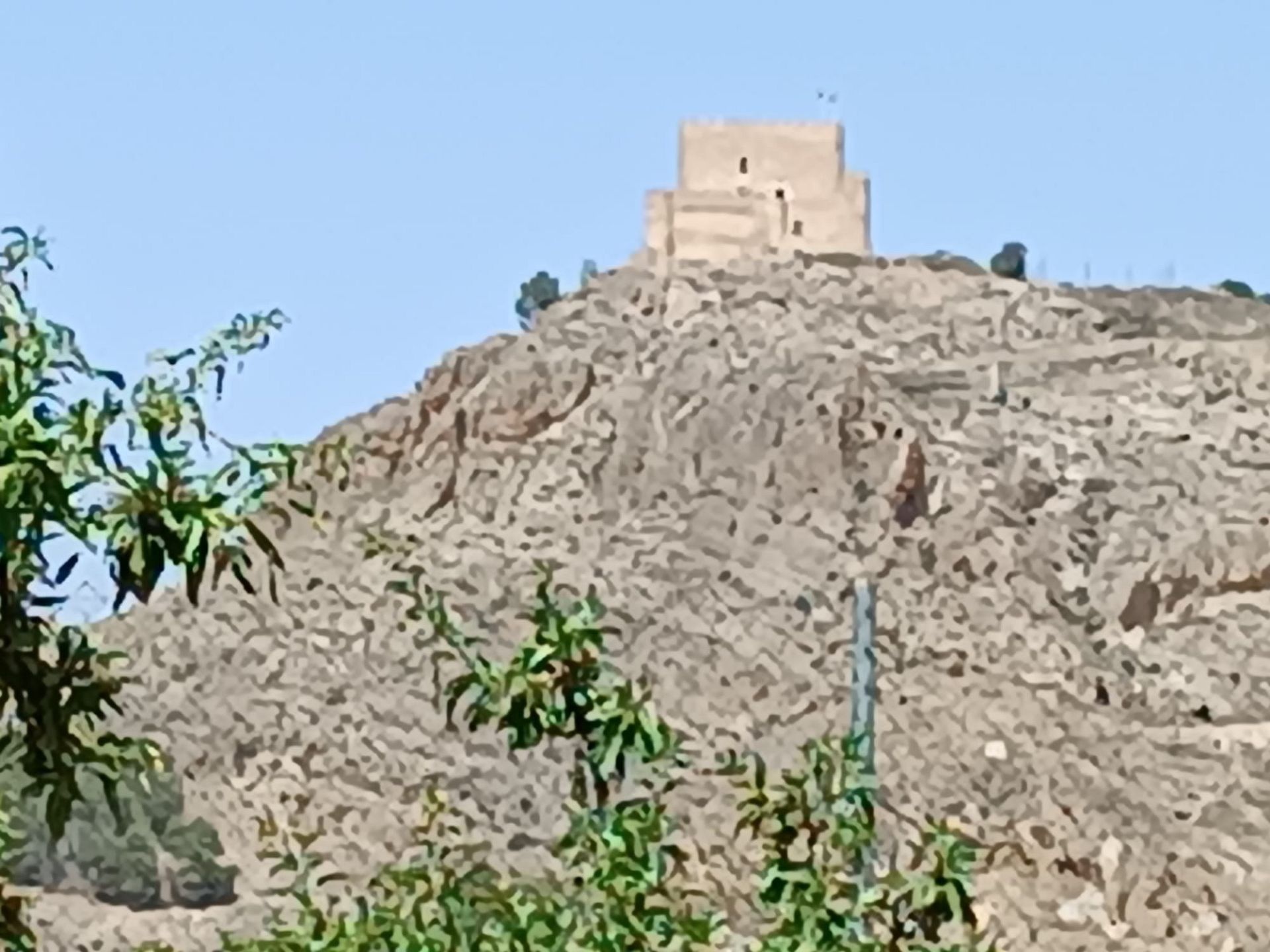 w_whatsapp-image-2025-07-15-at-16.36.40-3-