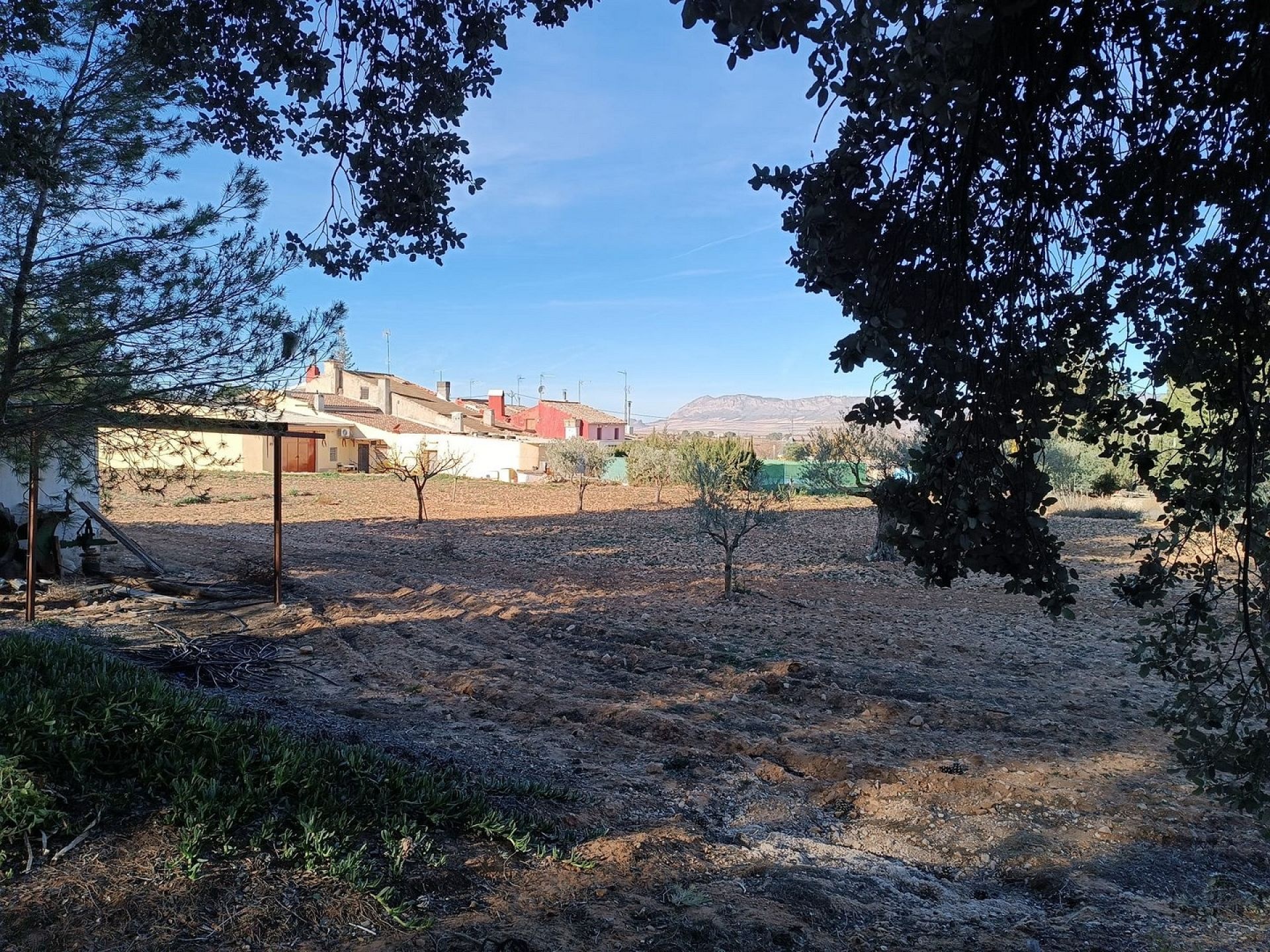 w_whatsapp-image-2025-07-31-at-20.20.38-1-