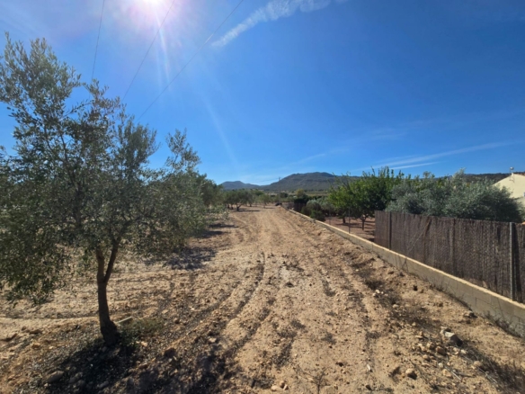 Grundstück in Salinas (Alicante)