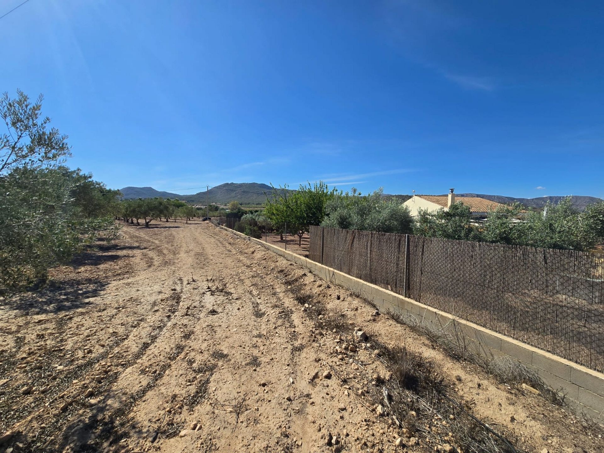 w_whatsapp-image-2025-09-12-at-16.31.47-1-