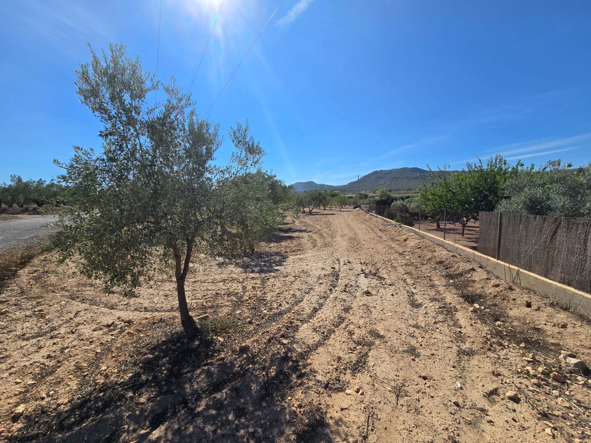 w_whatsapp-image-2025-09-12-at-16.31.47-2-