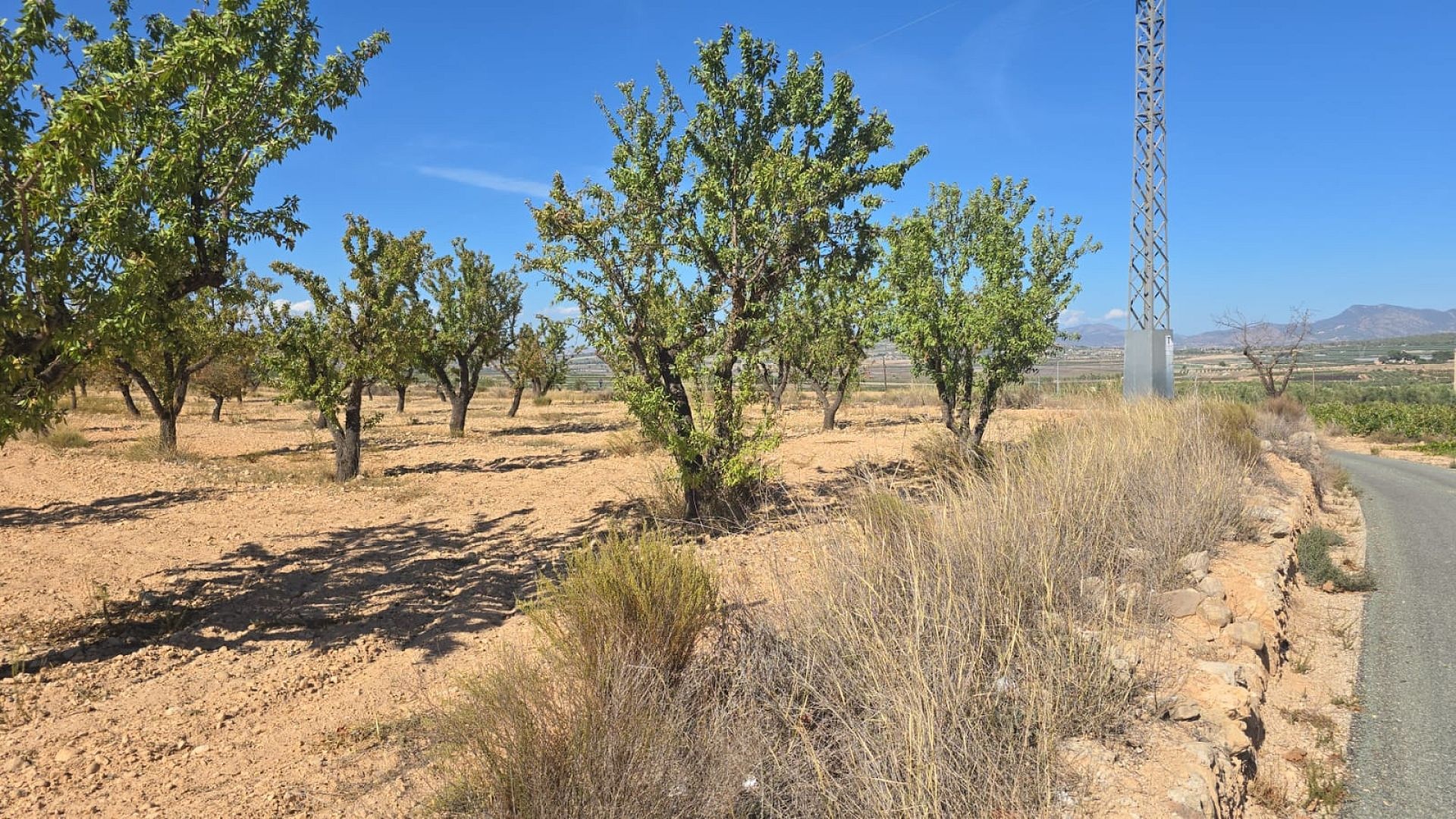 w_whatsapp-image-2025-09-12-at-16.49.53-1-