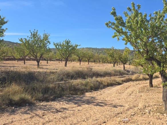 Grundstück in Salinas (Alicante)