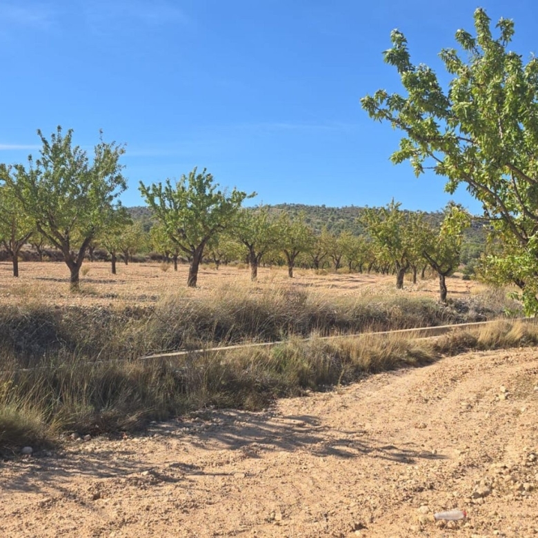 Grundstück in Salinas (Alicante)