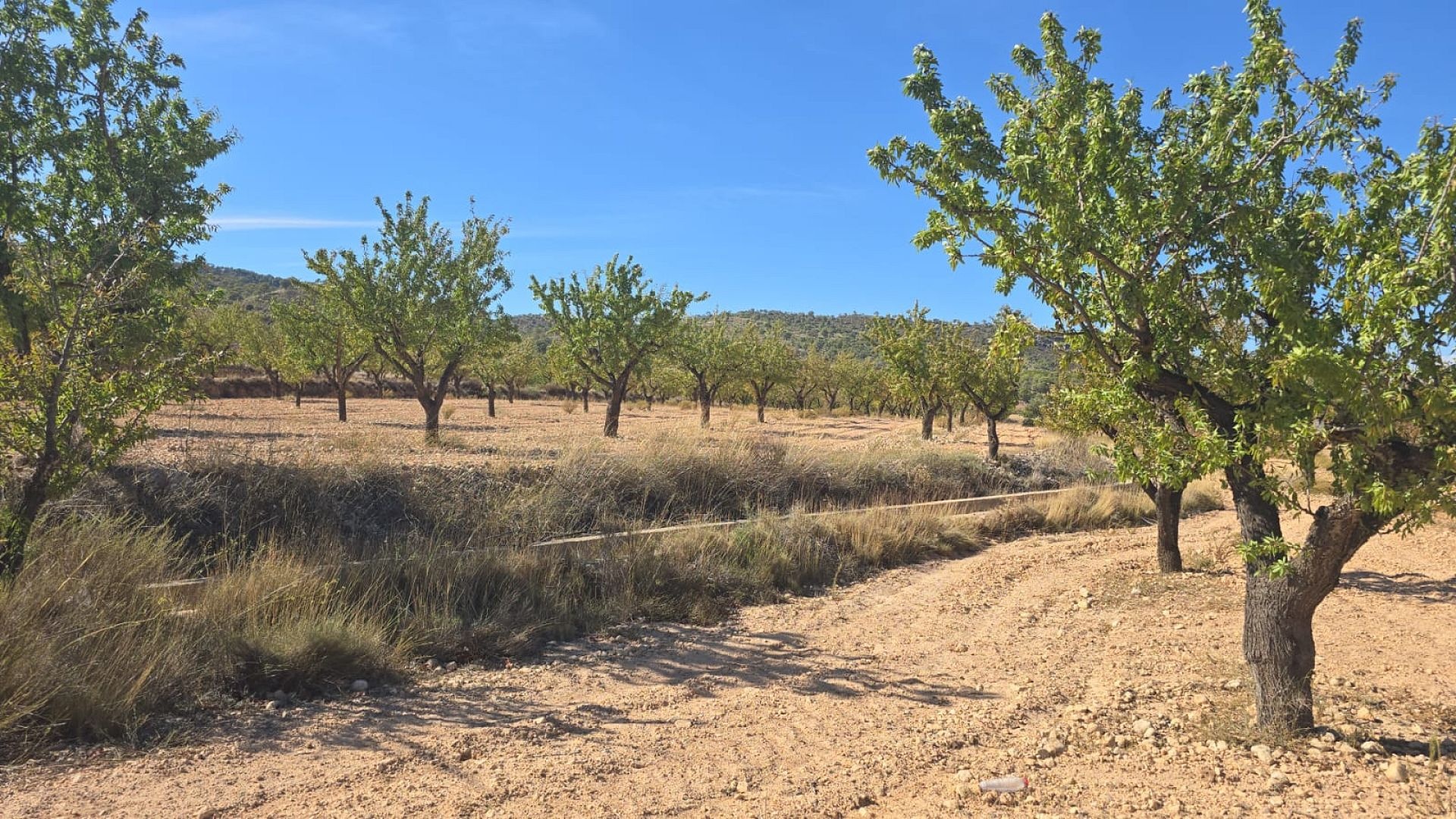 Grundstück in Salinas (Alicante) Grundstück in Salinas (Alicante)
