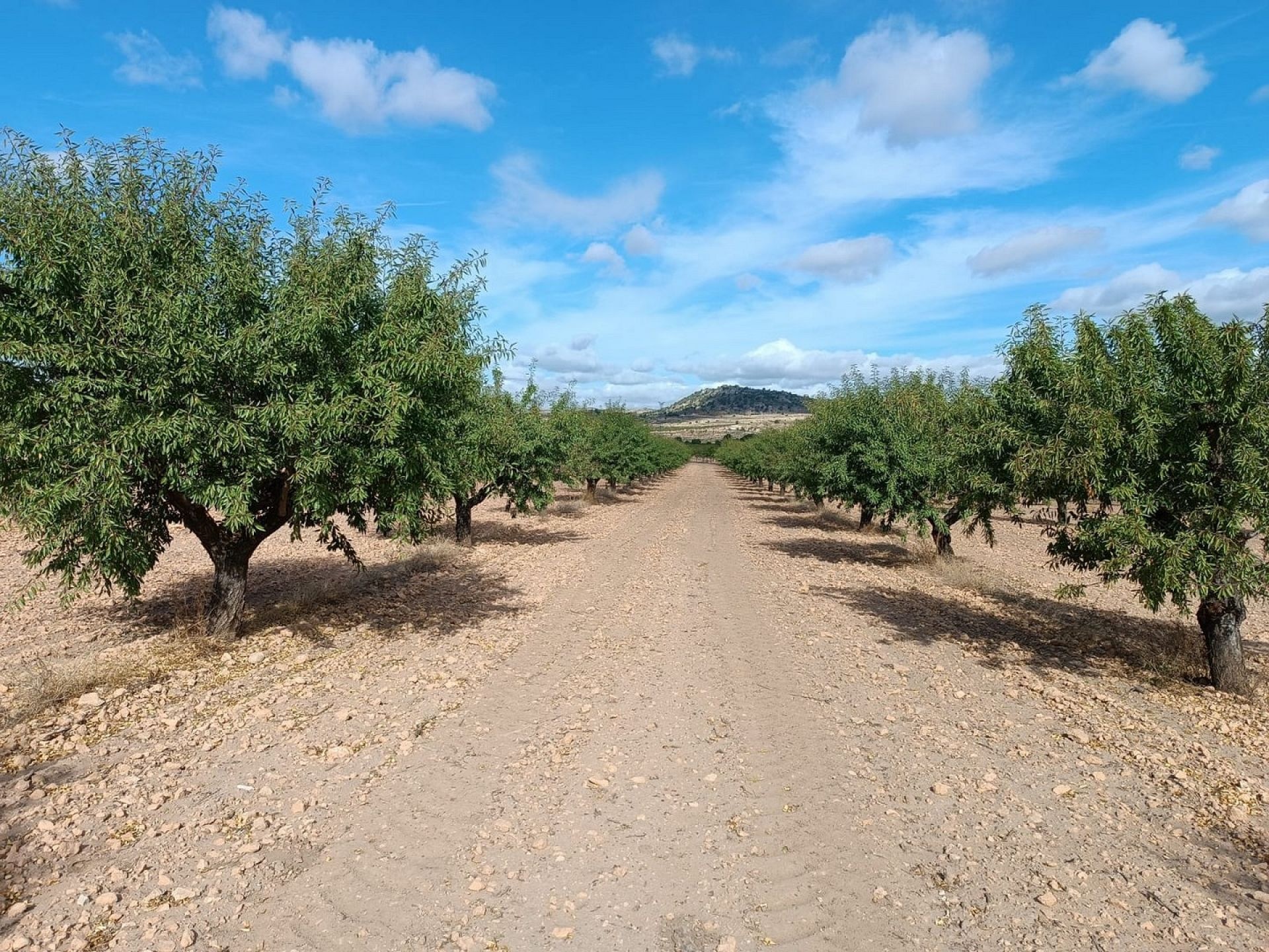 w_whatsapp-image-2025-09-24-at-13.37.36