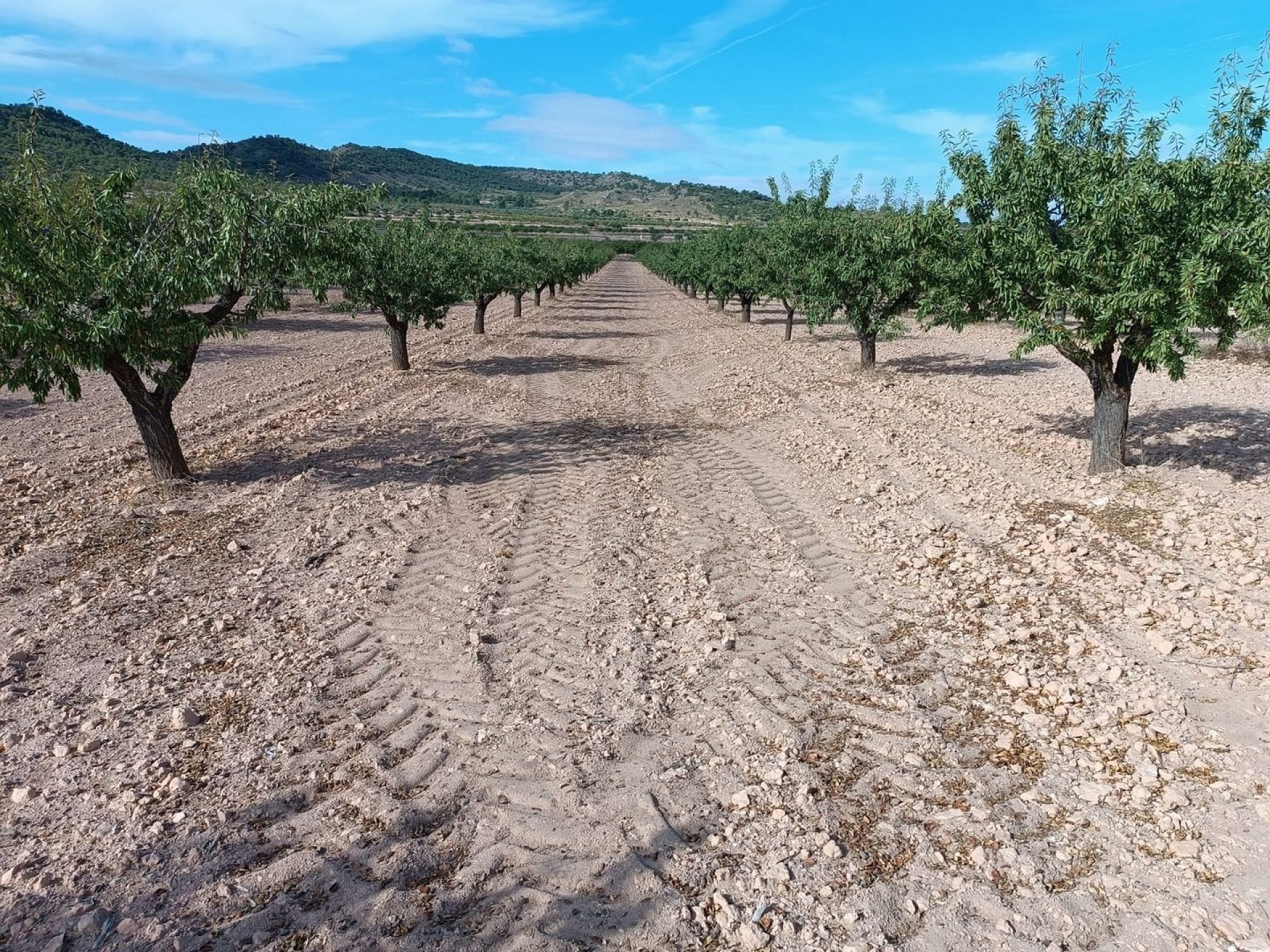 w_whatsapp-image-2025-09-24-at-13.37.37-1-