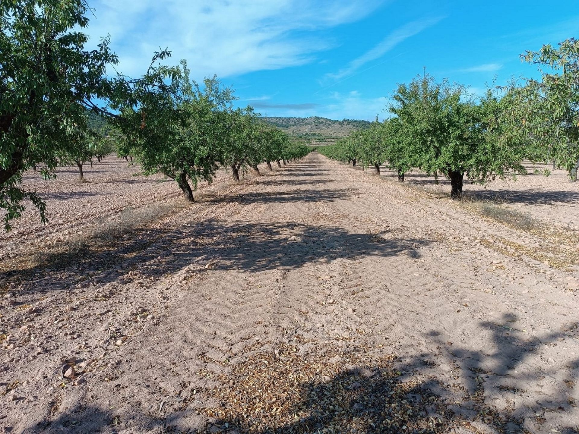 w_whatsapp-image-2025-09-24-at-13.37.41