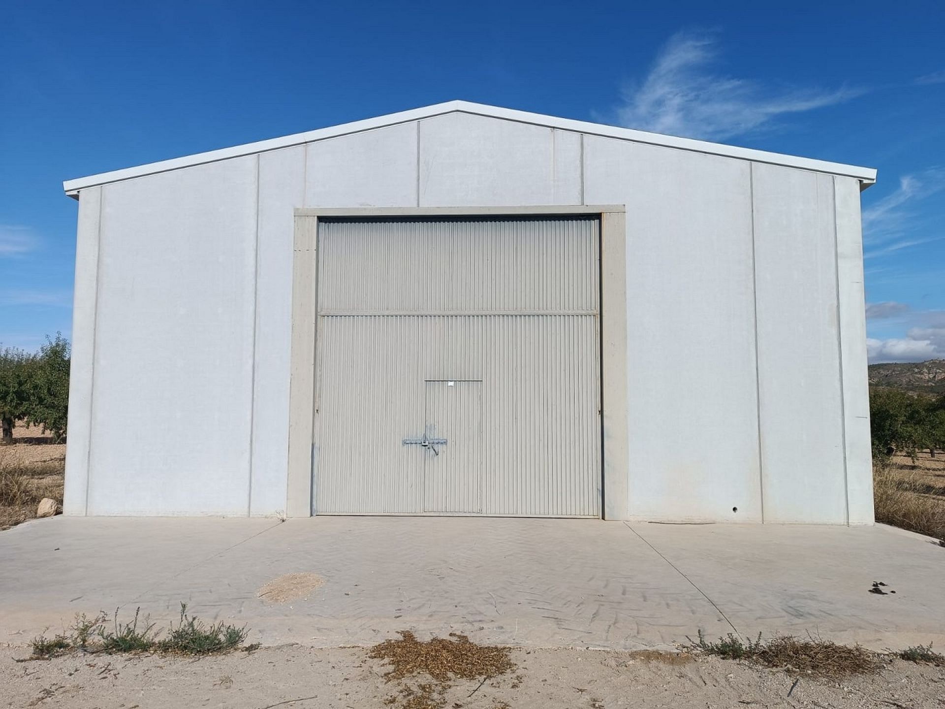 w_whatsapp-image-2025-09-24-at-13.37.42-3-