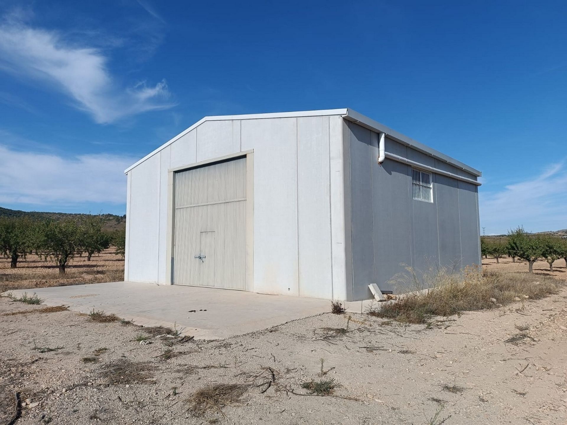 w_whatsapp-image-2025-09-24-at-13.37.42-4-