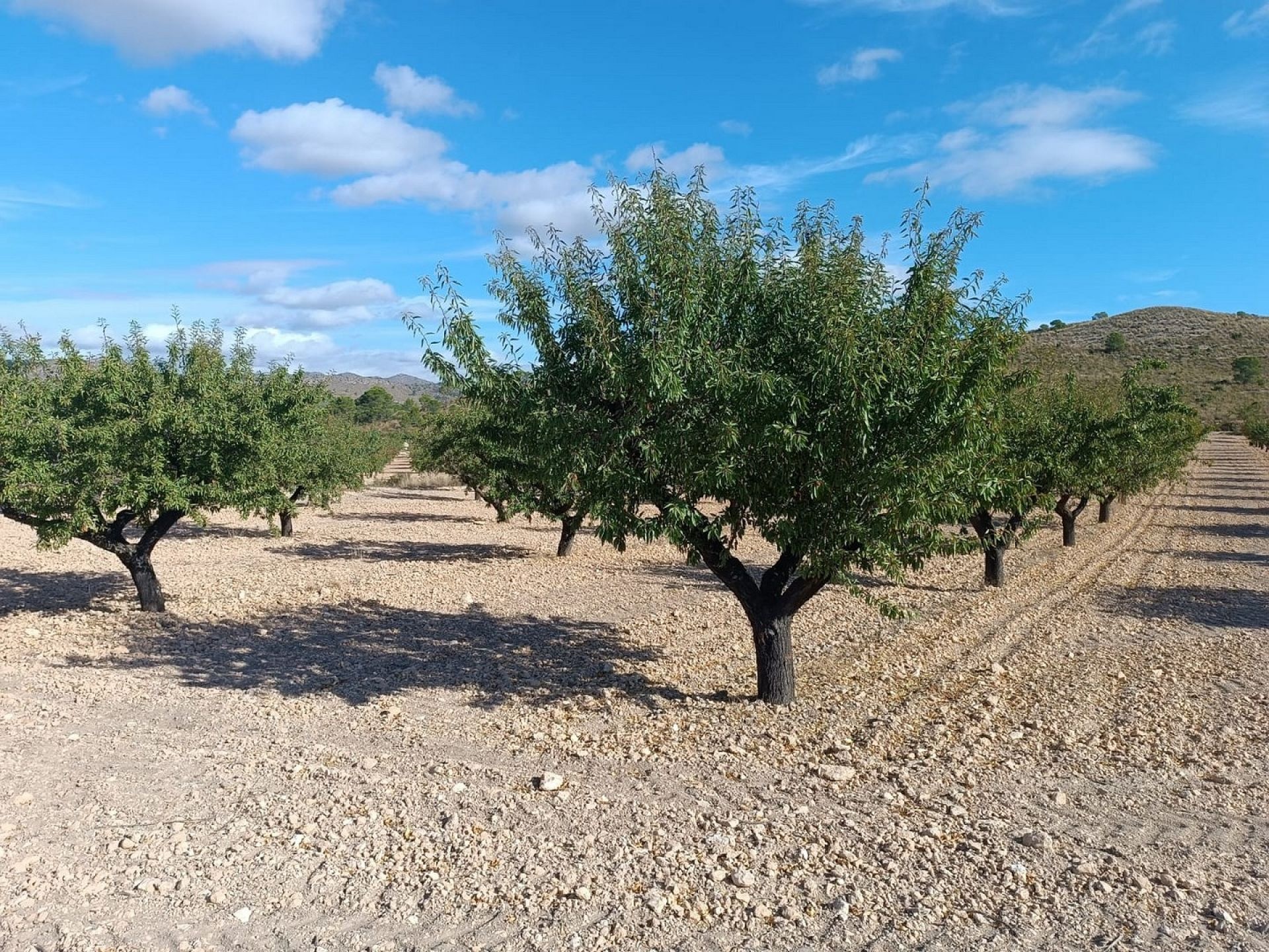 w_whatsapp-image-2025-09-24-at-13.37.42