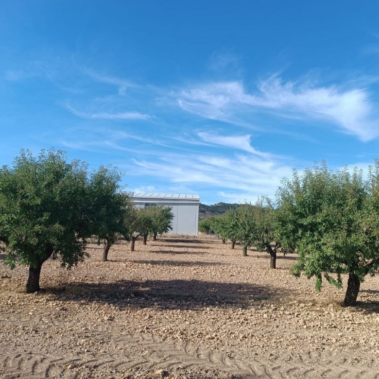 Grundstück in Yecla (Murcia)