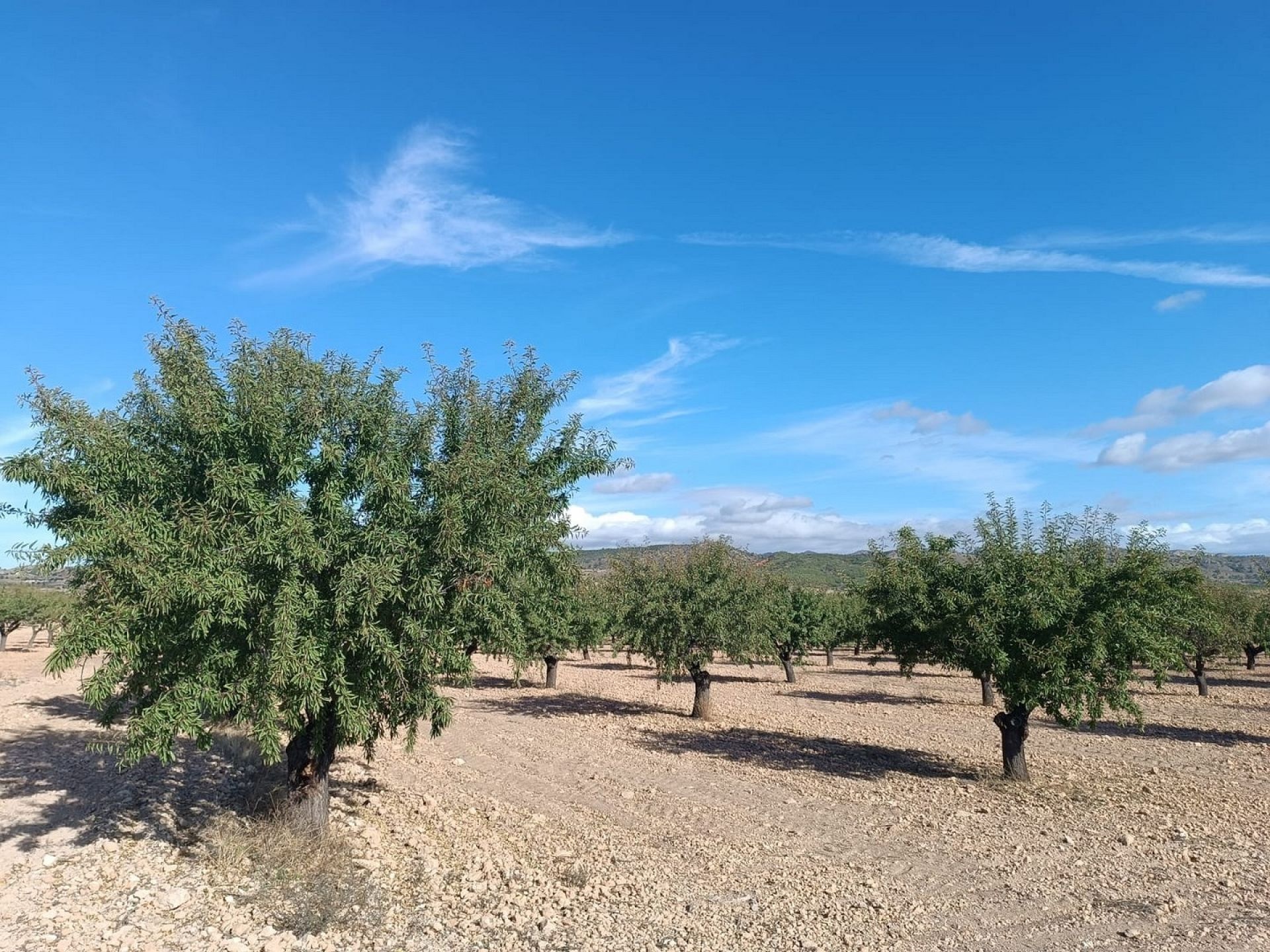 w_whatsapp-image-2025-09-24-at-13.37.43