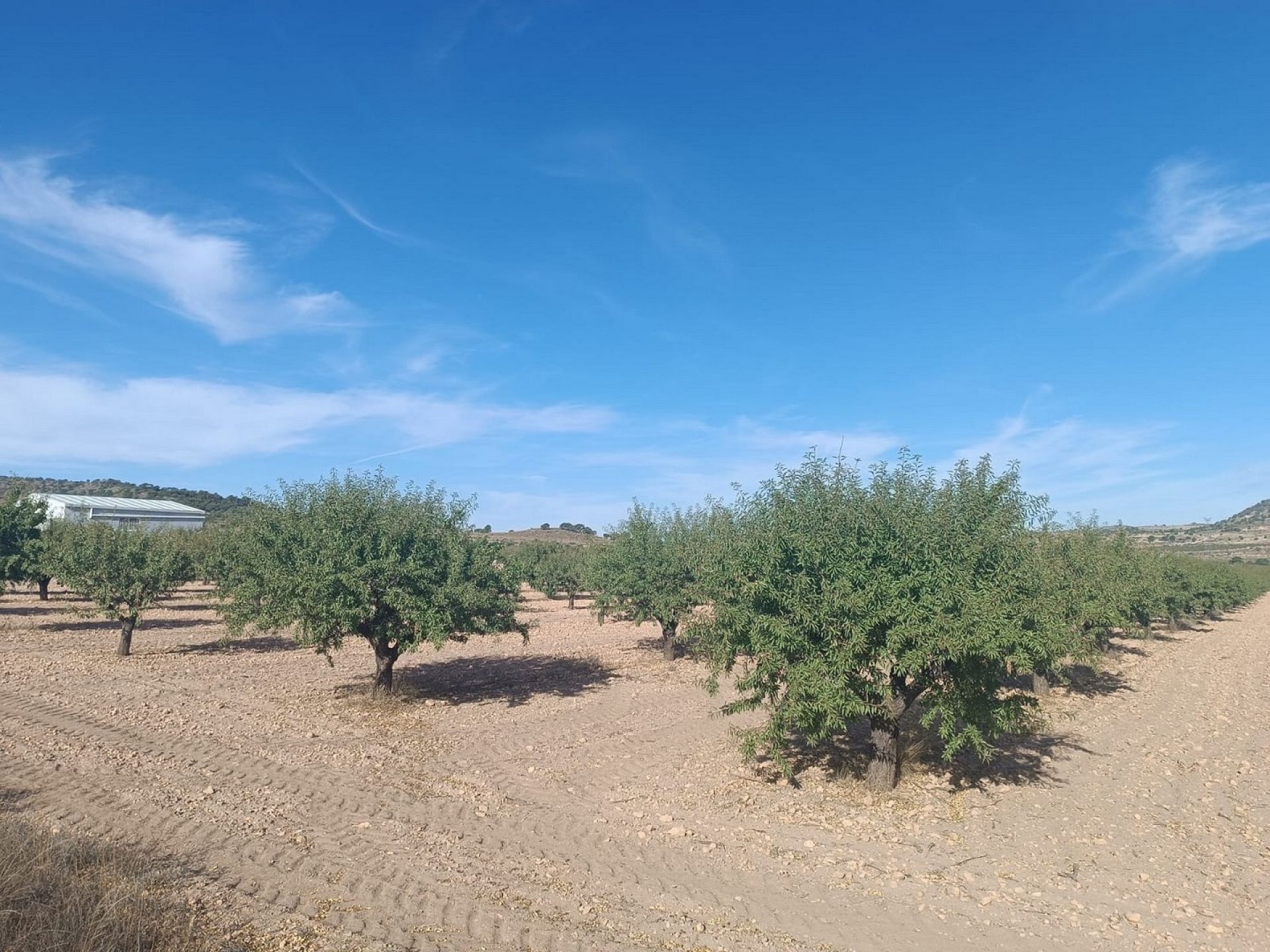 w_whatsapp-image-2025-09-24-at-13.37.44-1-