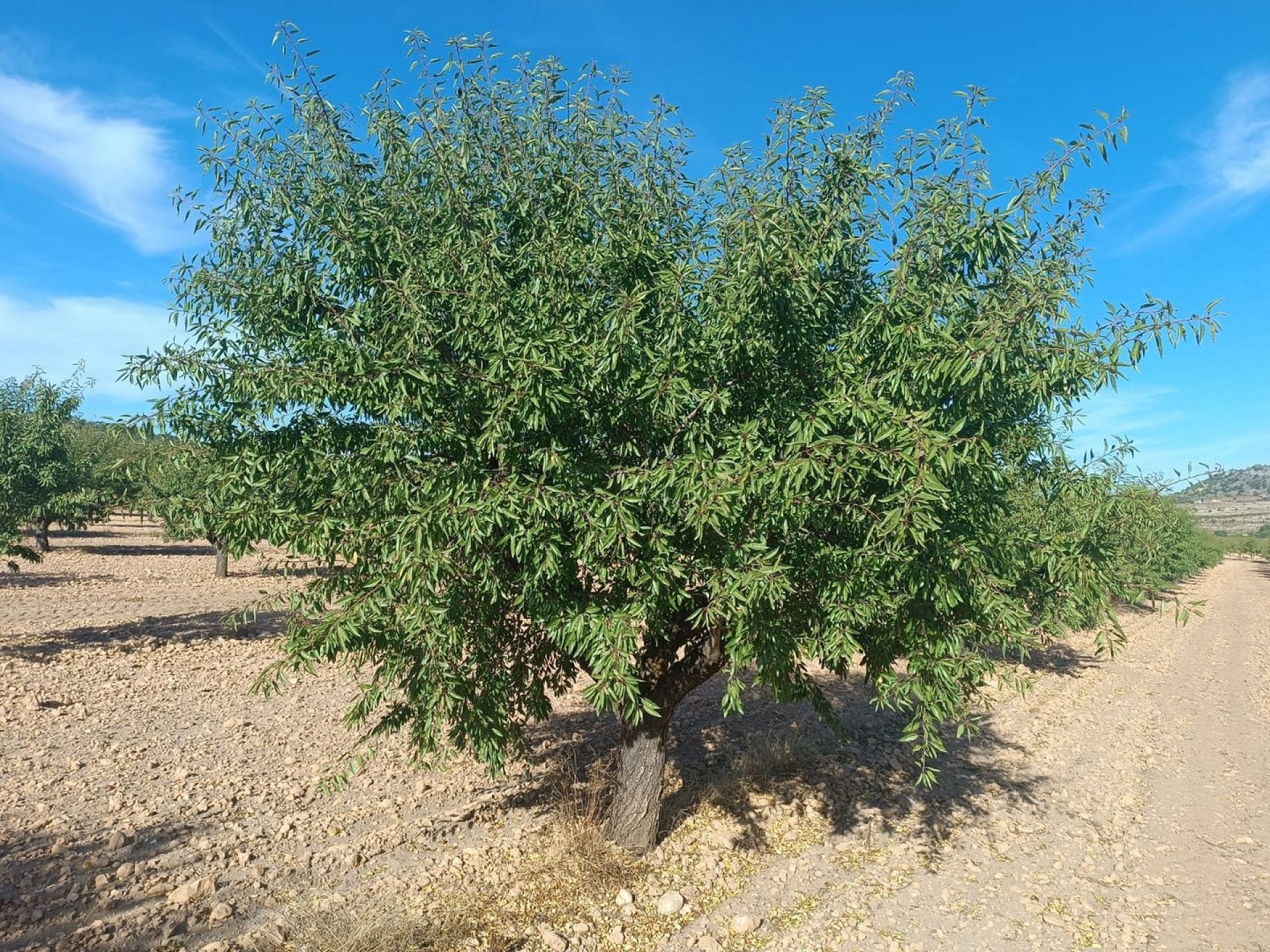 w_whatsapp-image-2025-09-24-at-13.37.44