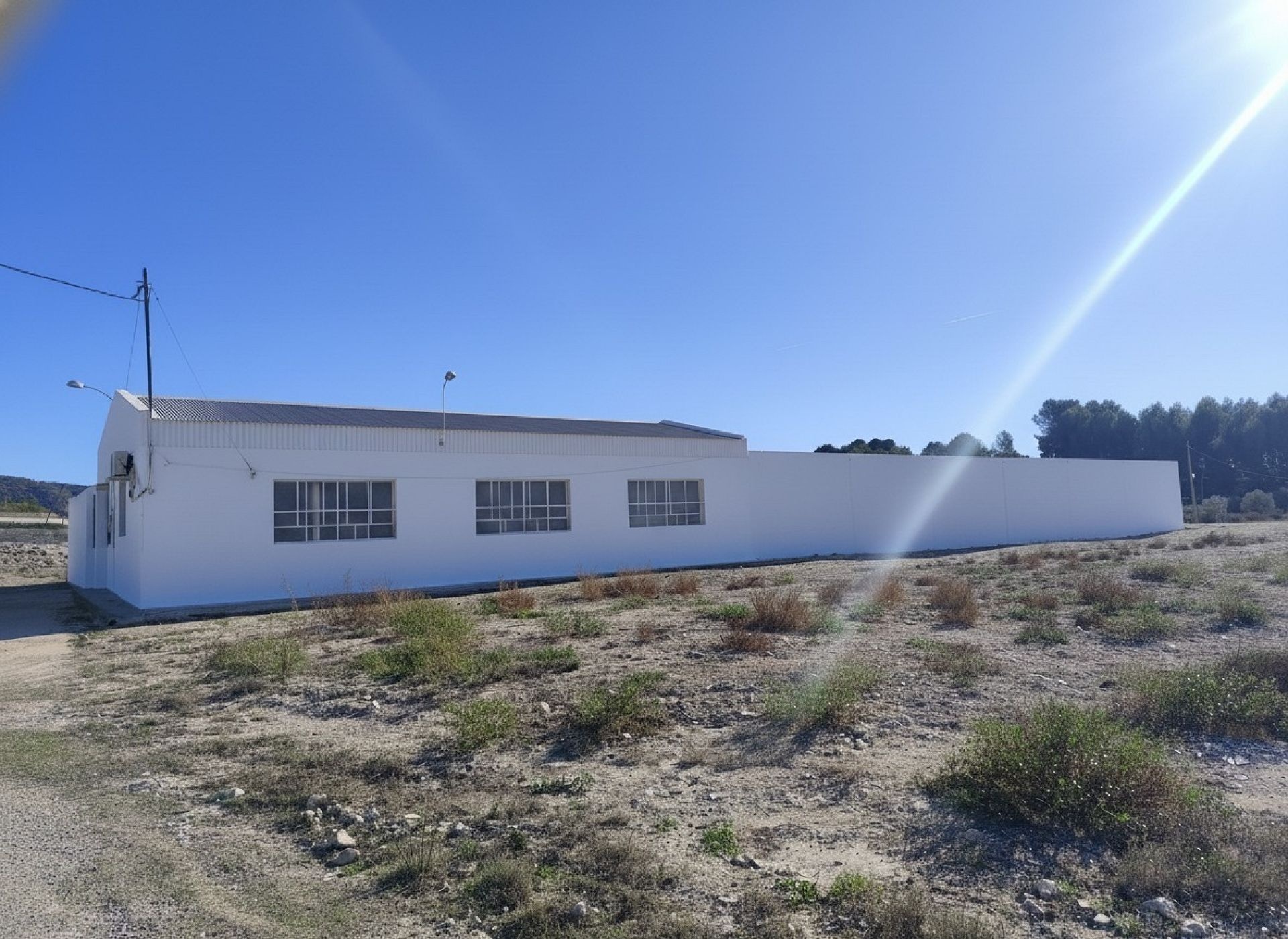 w_whatsapp-image-2025-11-23-at-13.12.59_7b8a5cca