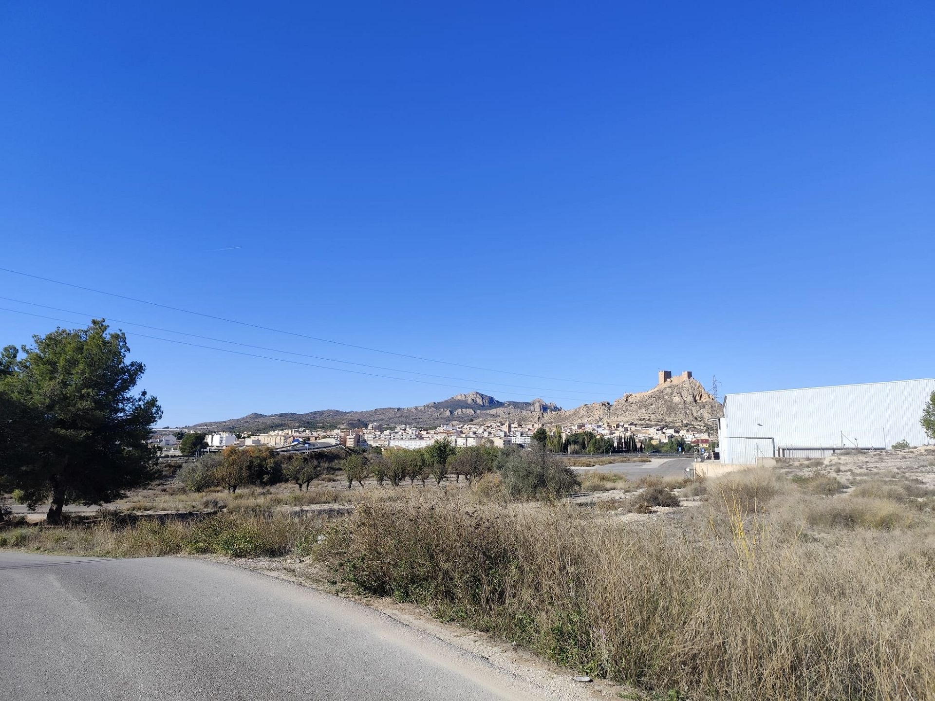 w_whatsapp-image-2025-11-23-at-13.13.16_9e6e30e4