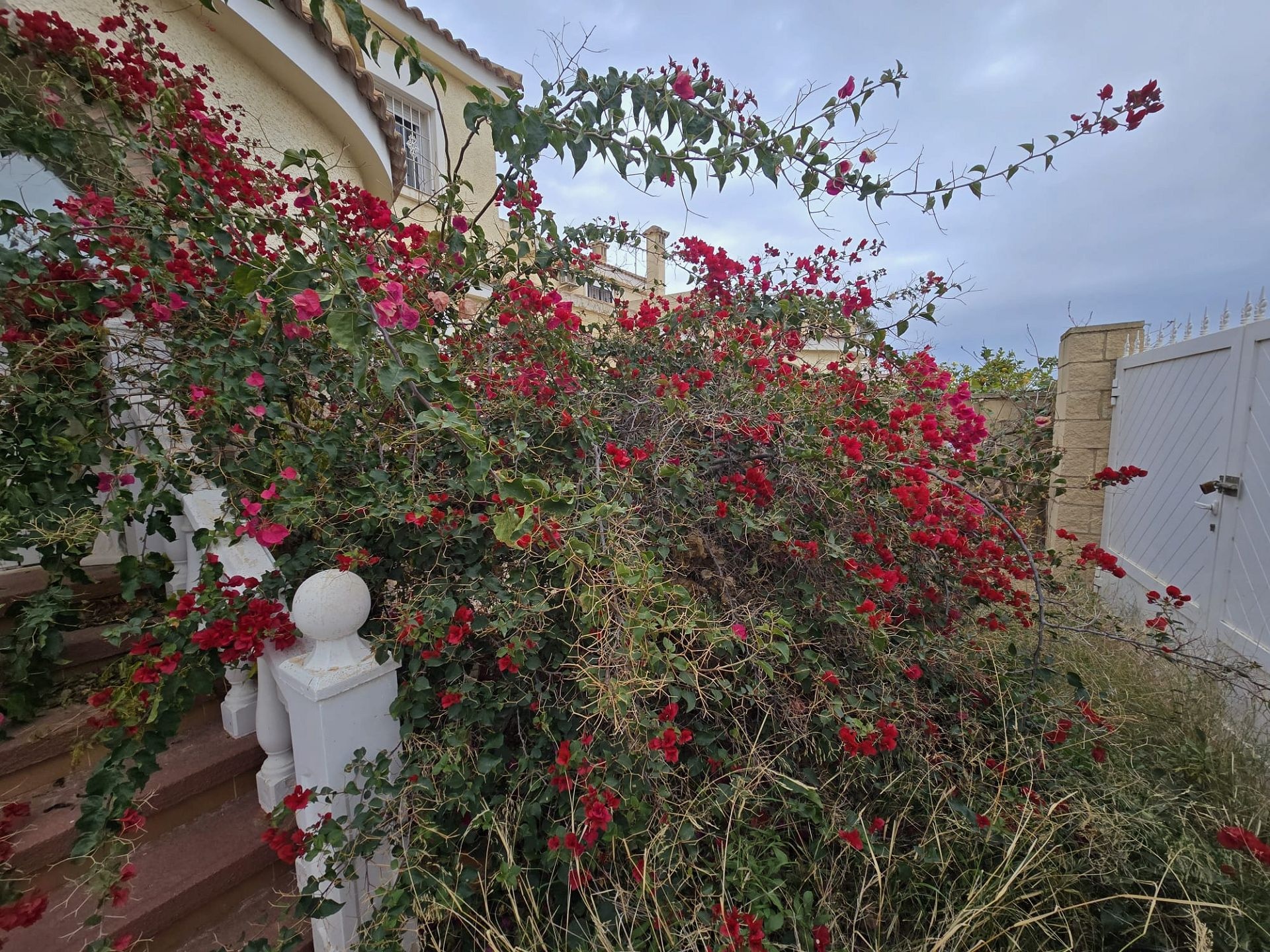 w_whatsapp-image-2025-12-04-at-16.01.03-32-