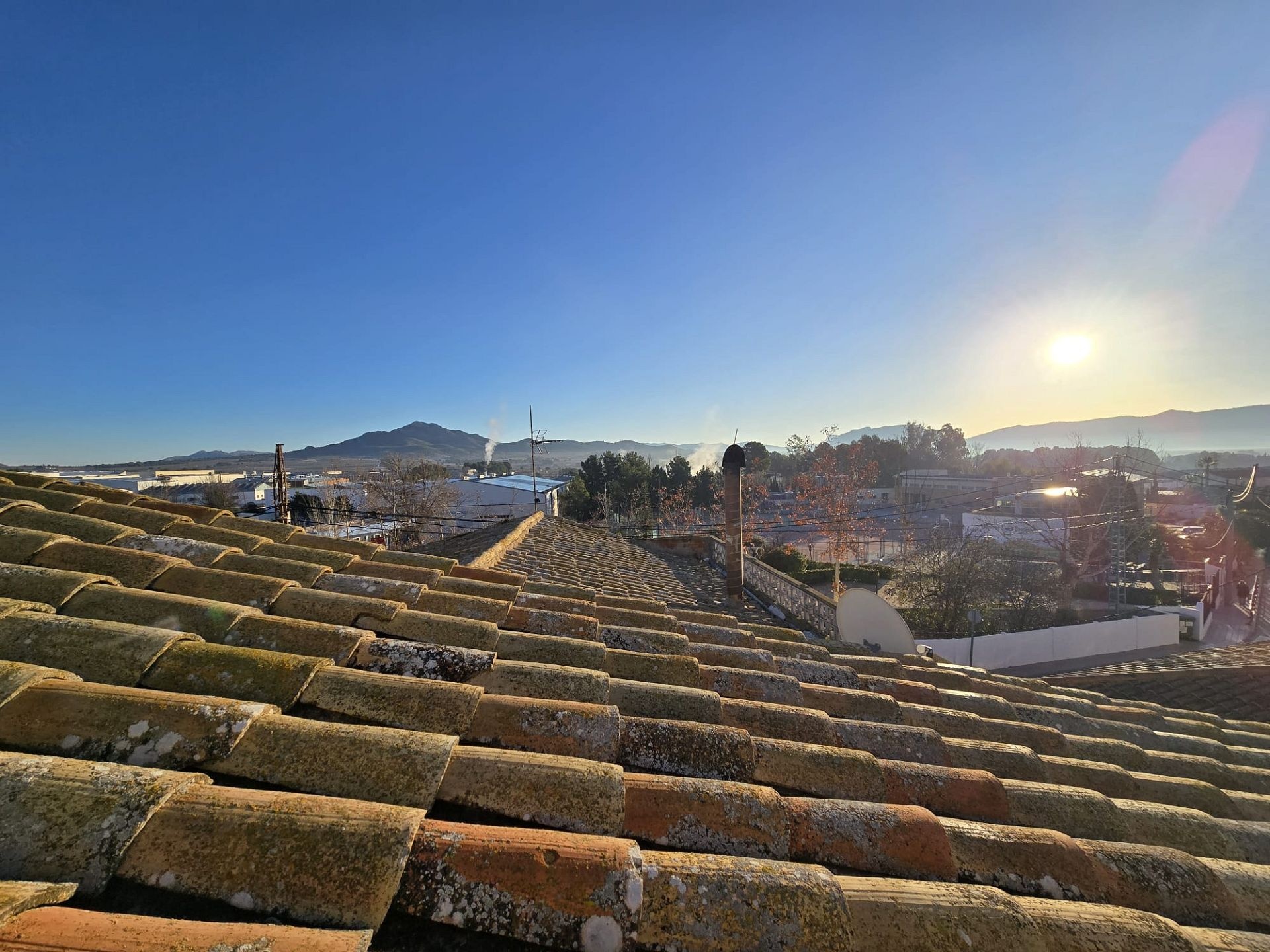 w_whatsapp-image-2026-01-15-at-10.17.36-1-