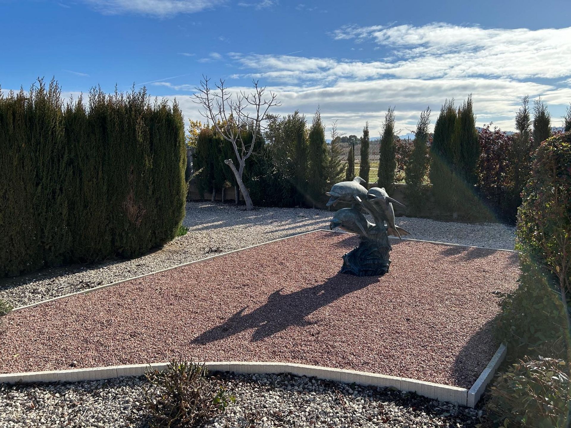 w_whatsapp-image-2026-01-21-at-13.01.41-2-