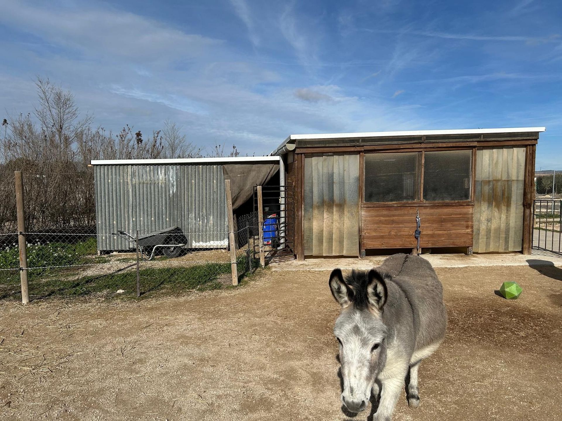 w_whatsapp-image-2026-01-21-at-13.03.00-7-