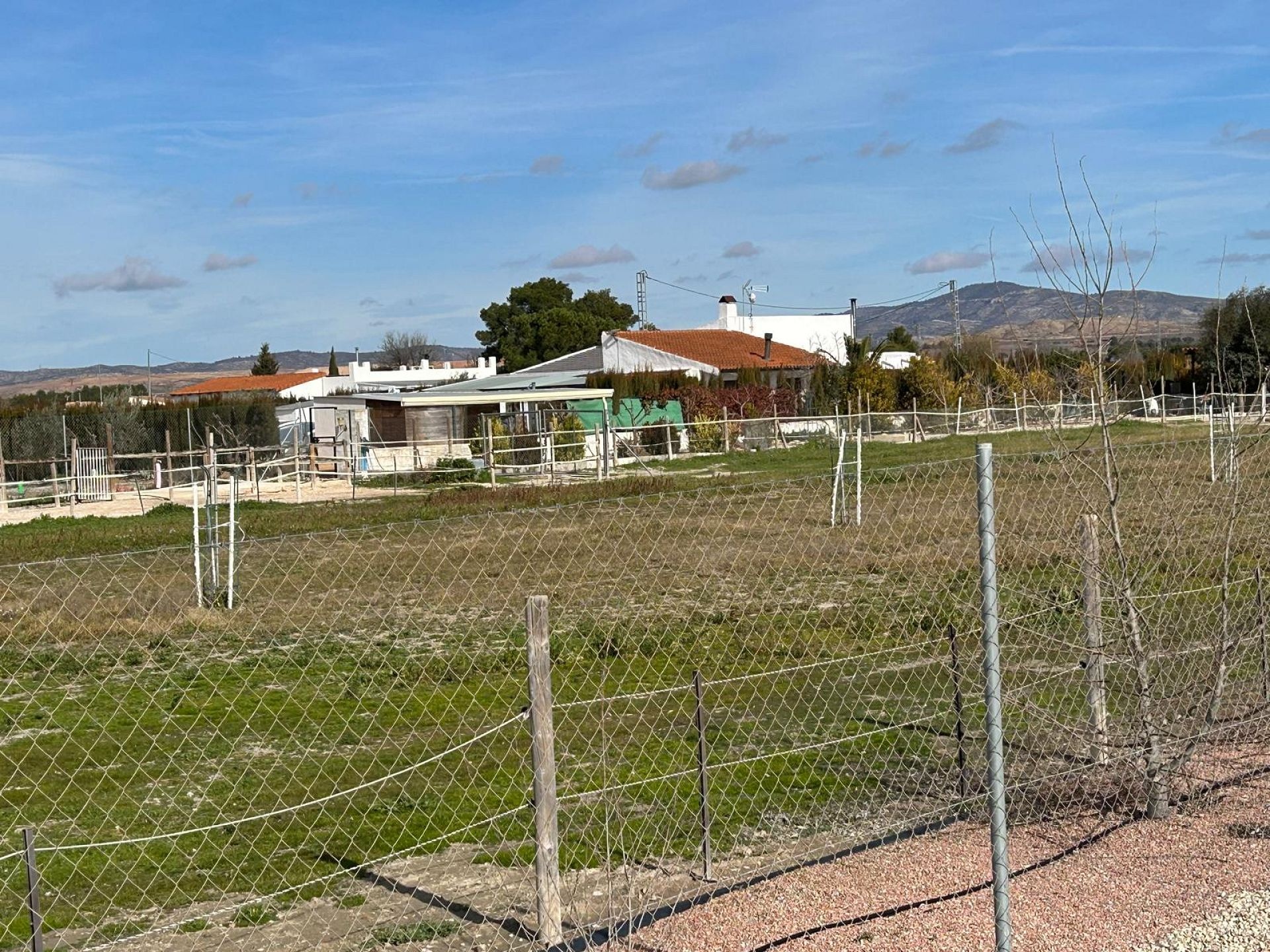 w_whatsapp-image-2026-01-21-at-13.04.02-1-