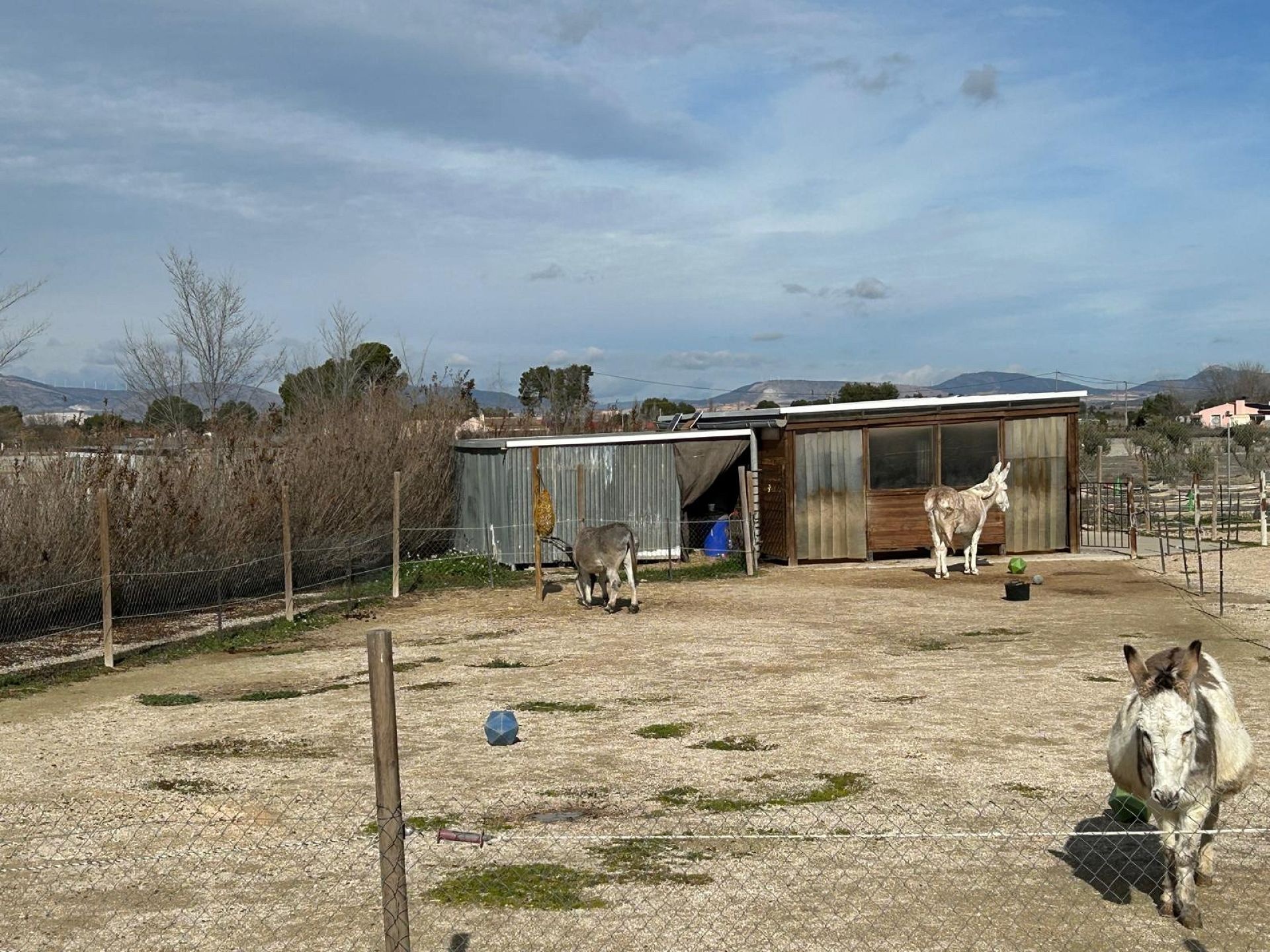 w_whatsapp-image-2026-01-21-at-13.04.02