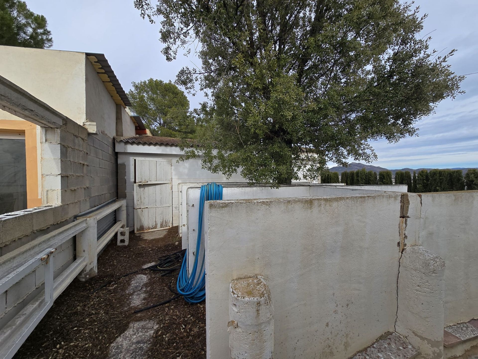 w_whatsapp-image-2026-01-22-at-12.38.56-1-