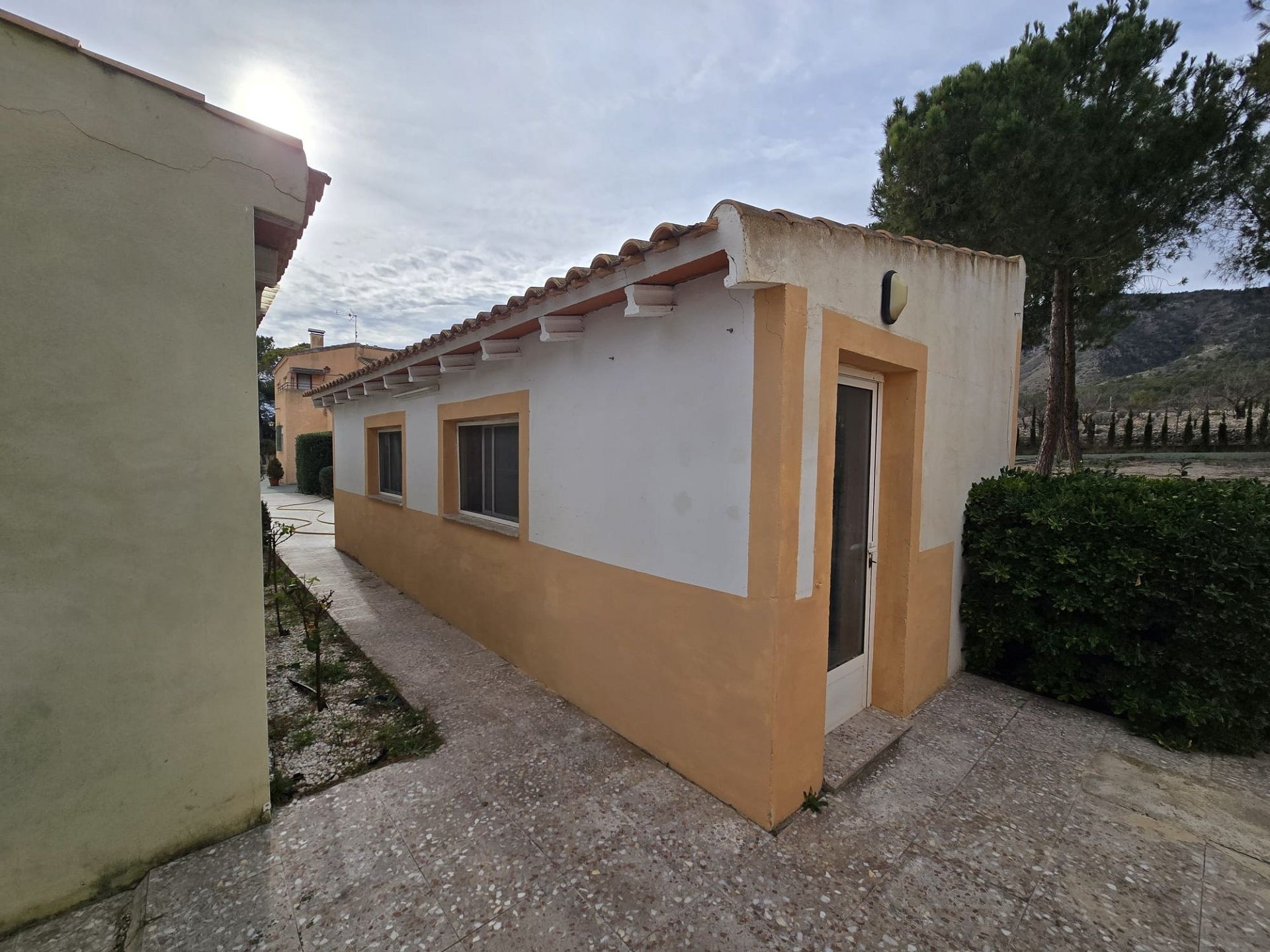 w_whatsapp-image-2026-01-22-at-12.38.56-2-