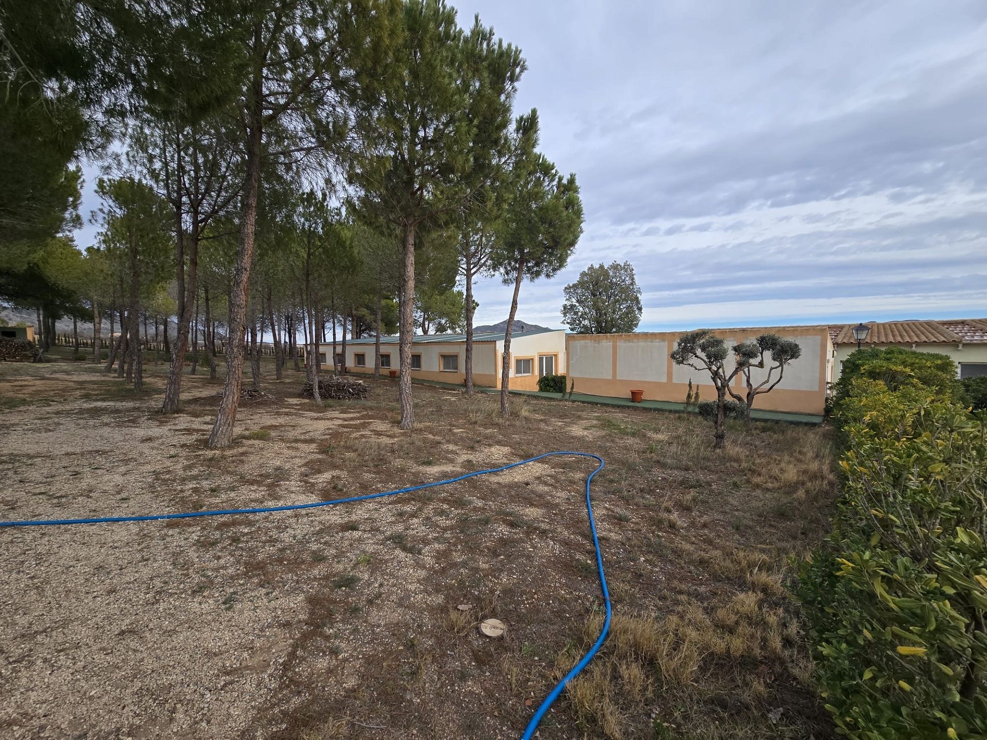 w_whatsapp-image-2026-01-22-at-12.39.04-2-