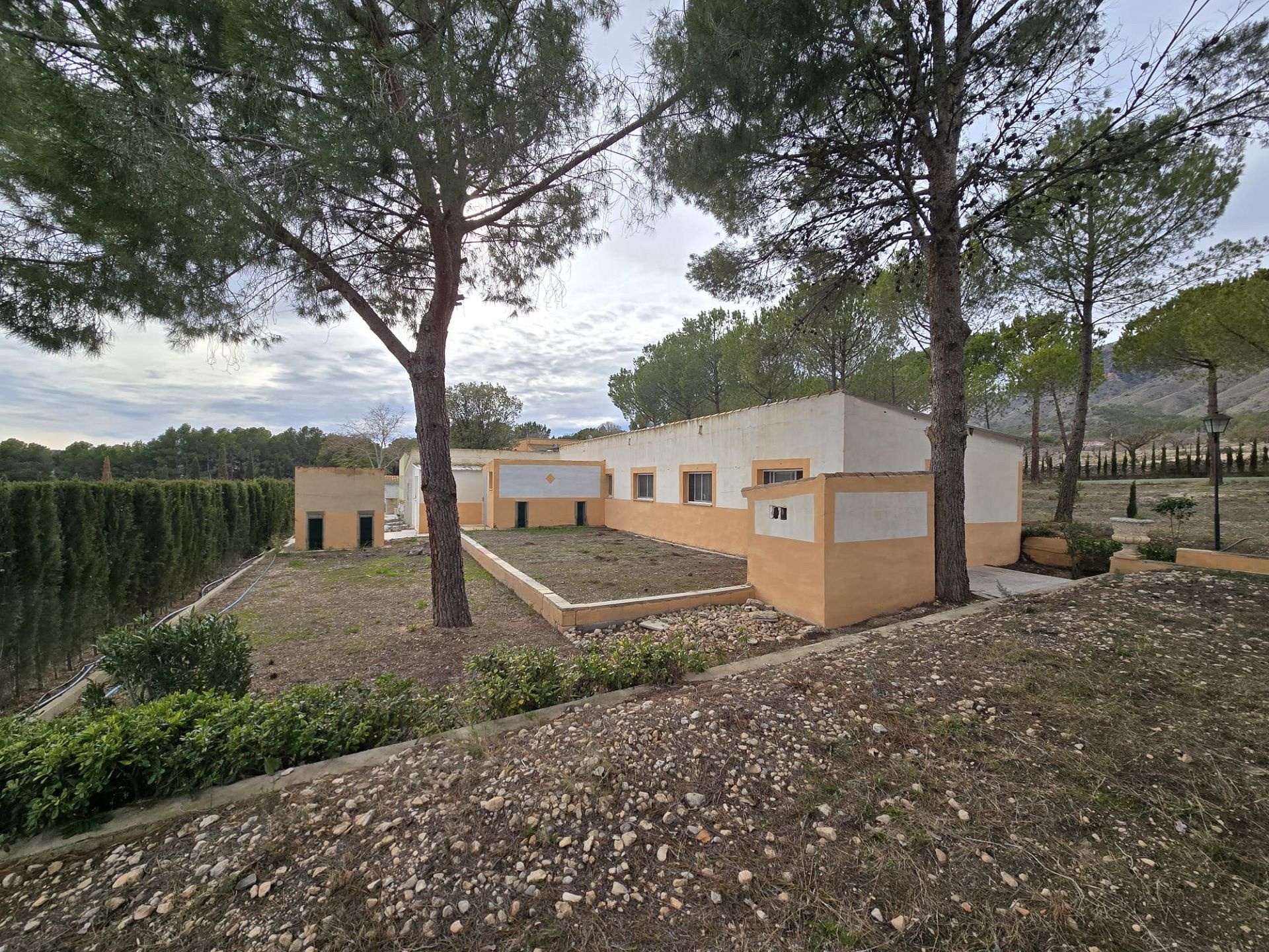 w_whatsapp-image-2026-01-22-at-12.39.04