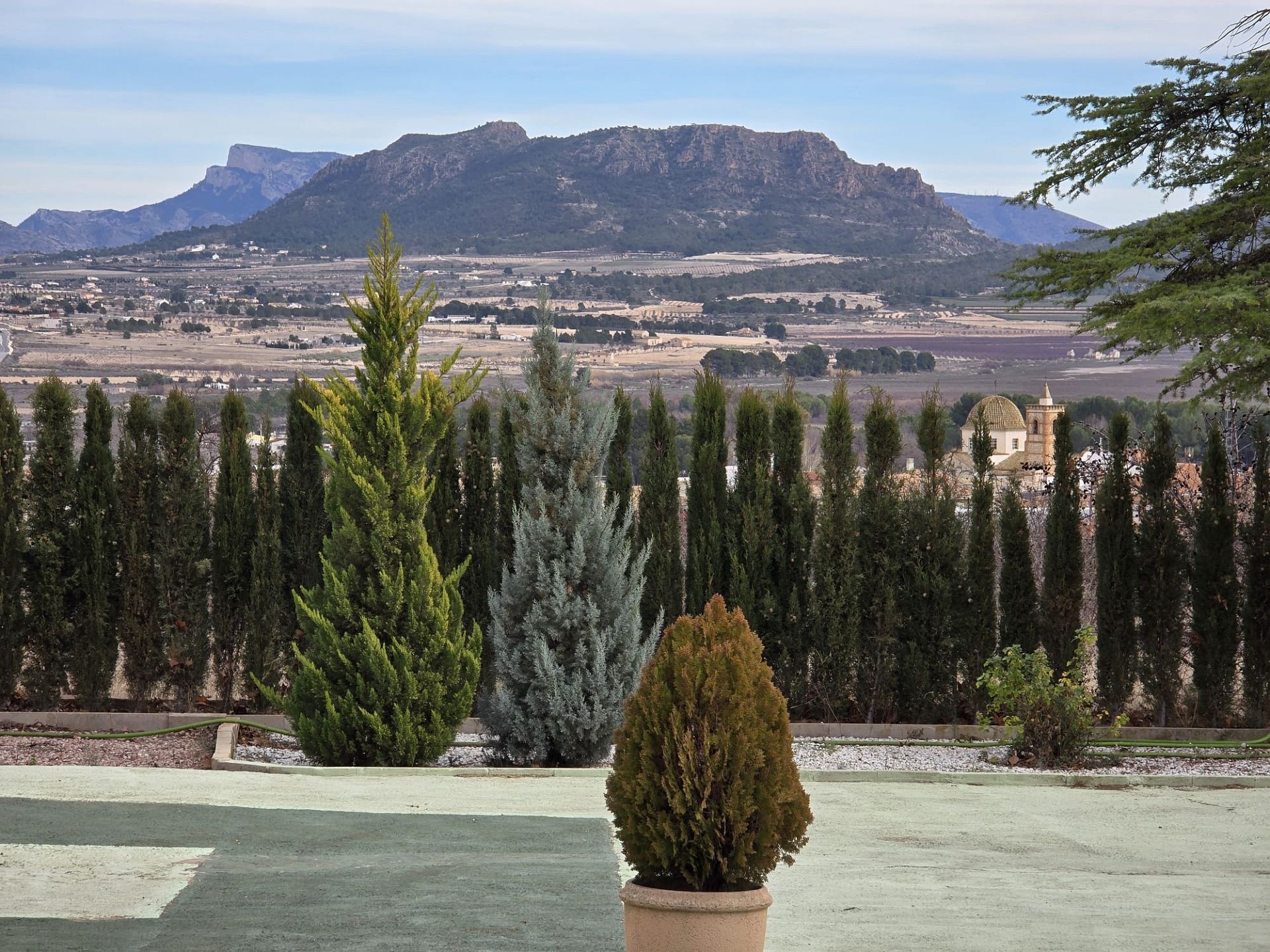 w_whatsapp-image-2026-01-22-at-12.39.06-7-