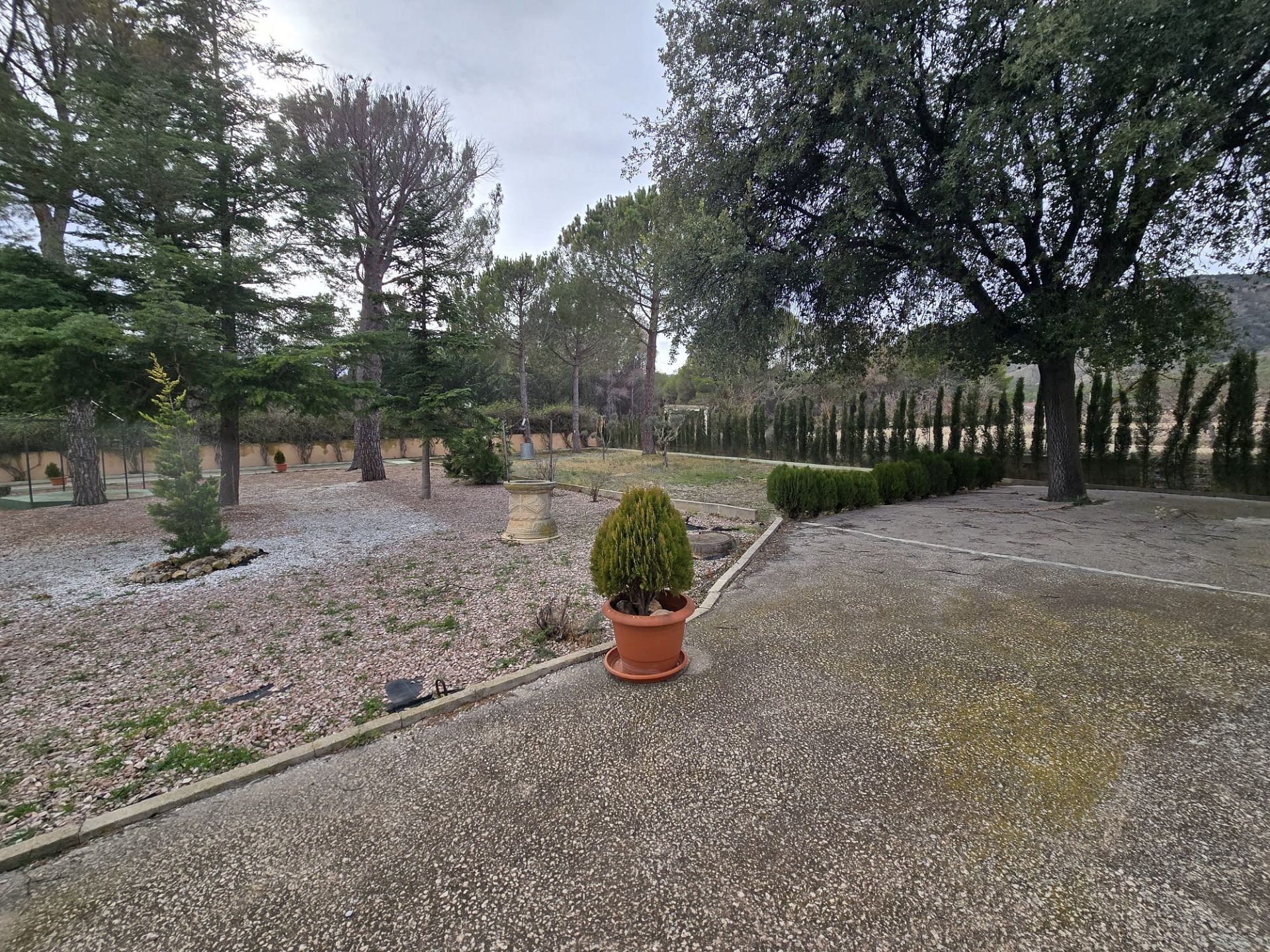 w_whatsapp-image-2026-01-22-at-12.39.07-8-