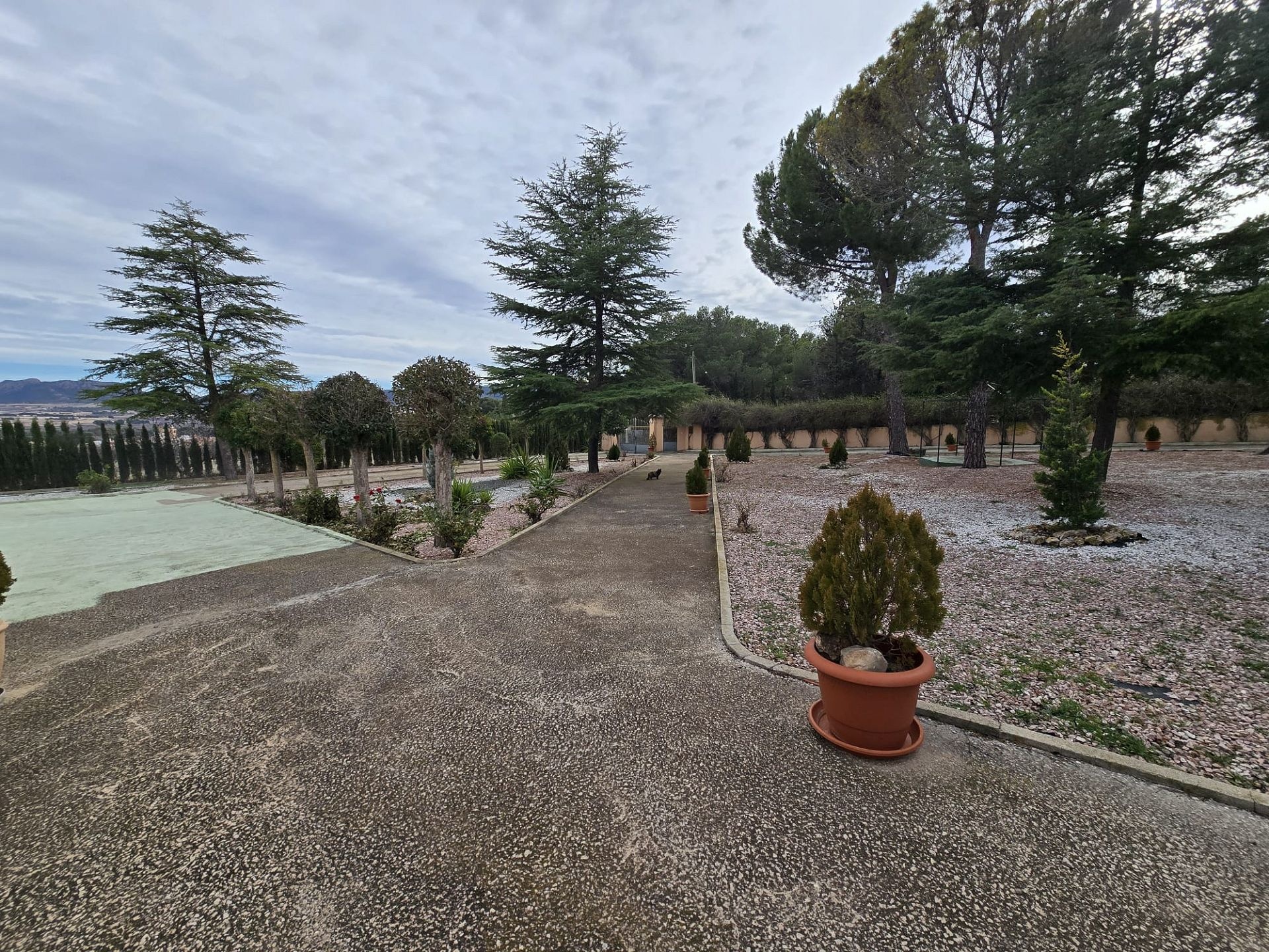 w_whatsapp-image-2026-01-22-at-12.39.07-9-