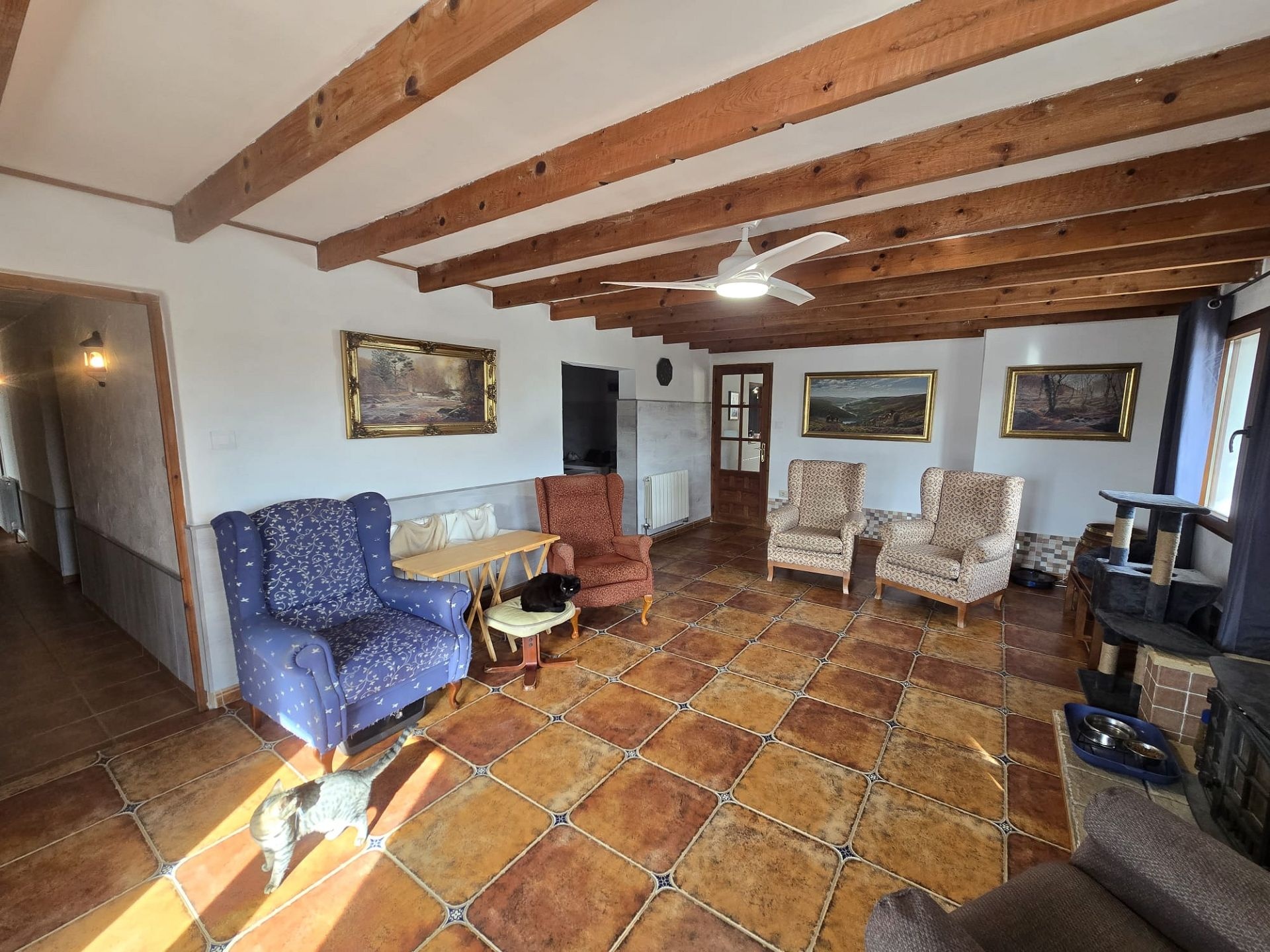 w_whatsapp-image-2026-01-23-at-11.01.58-1-