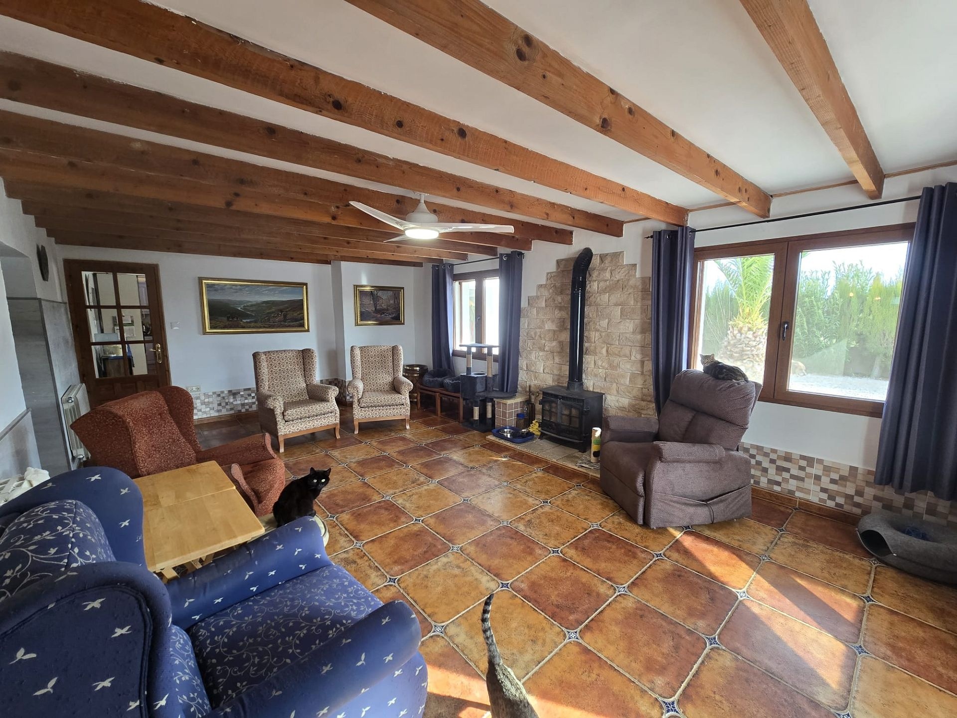 w_whatsapp-image-2026-01-23-at-11.01.58-2-