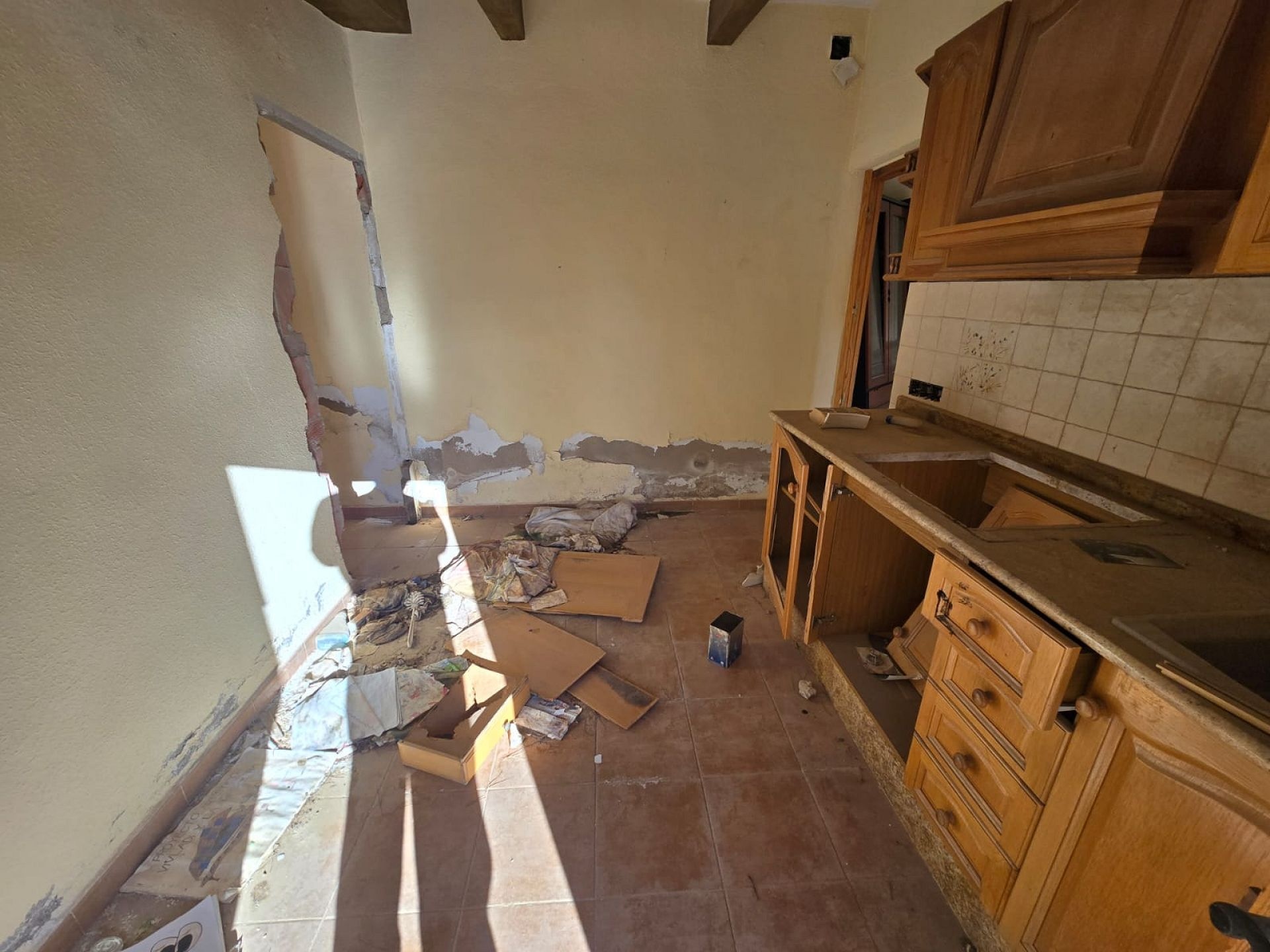 w_whatsapp-image-2026-01-23-at-16.18.49-2-