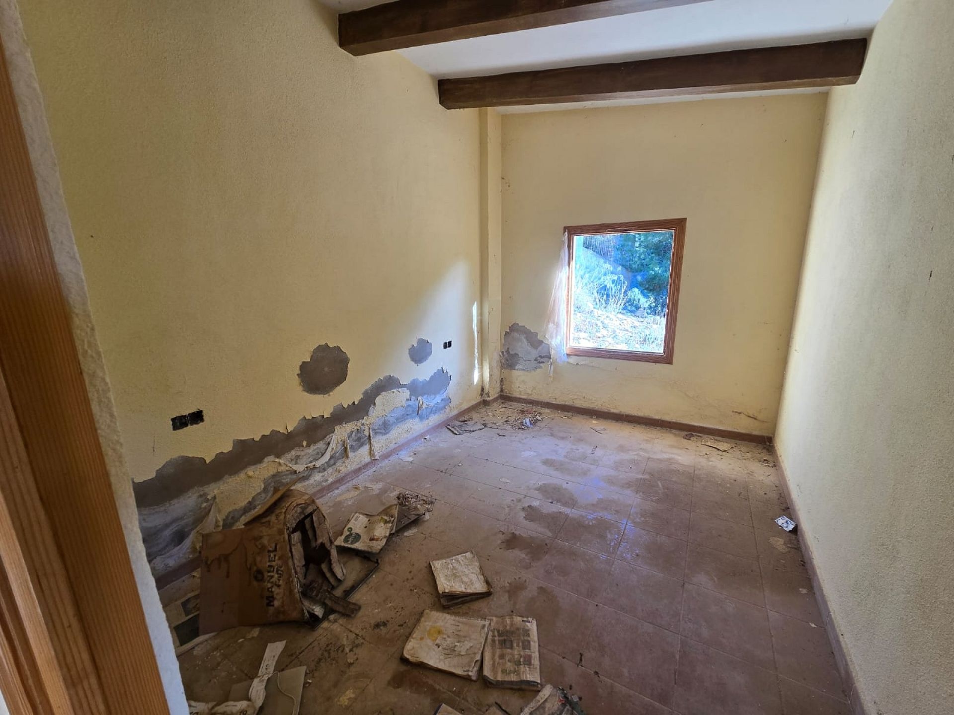 w_whatsapp-image-2026-01-23-at-16.18.49