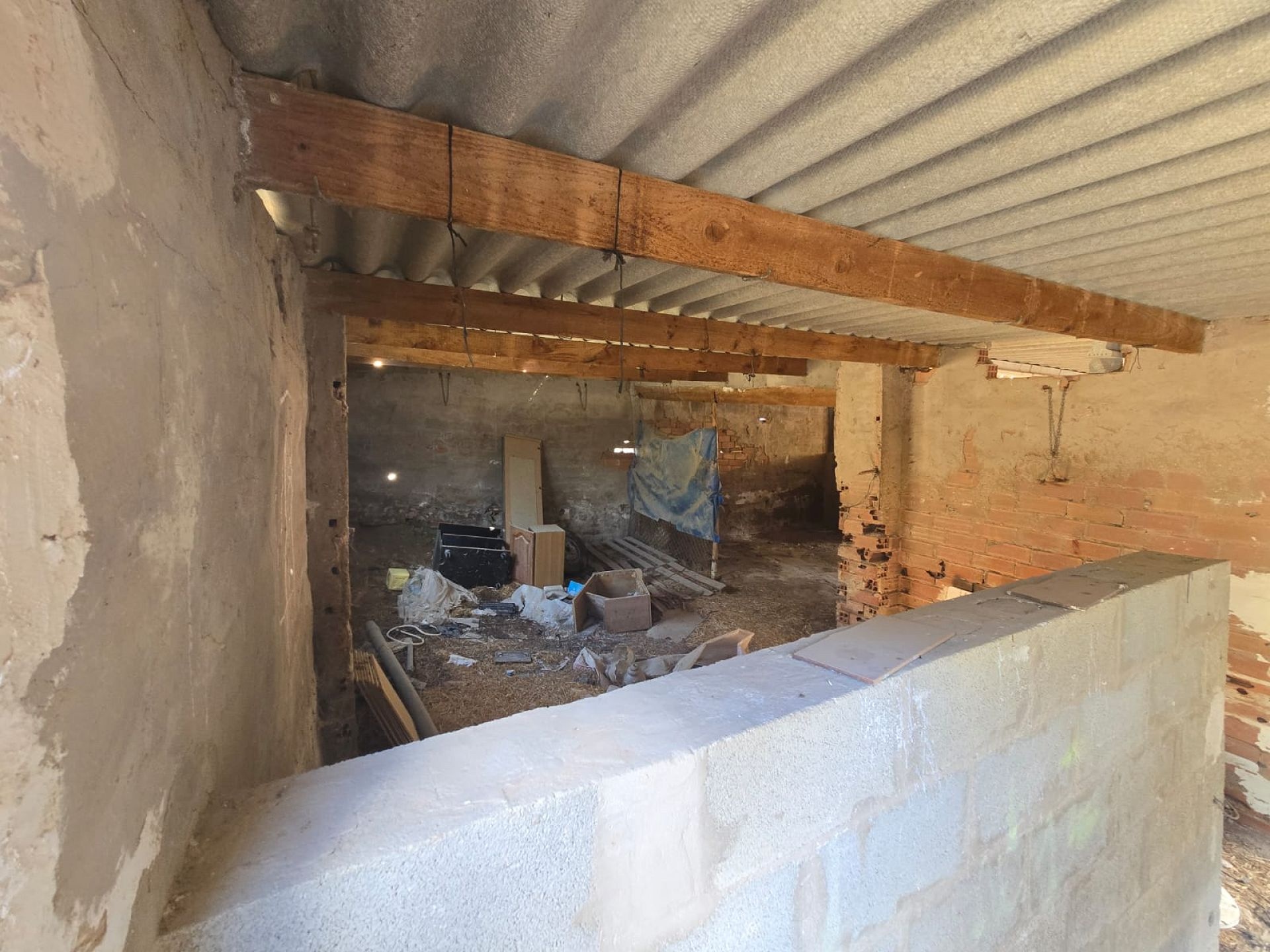 w_whatsapp-image-2026-01-23-at-16.18.50-4-