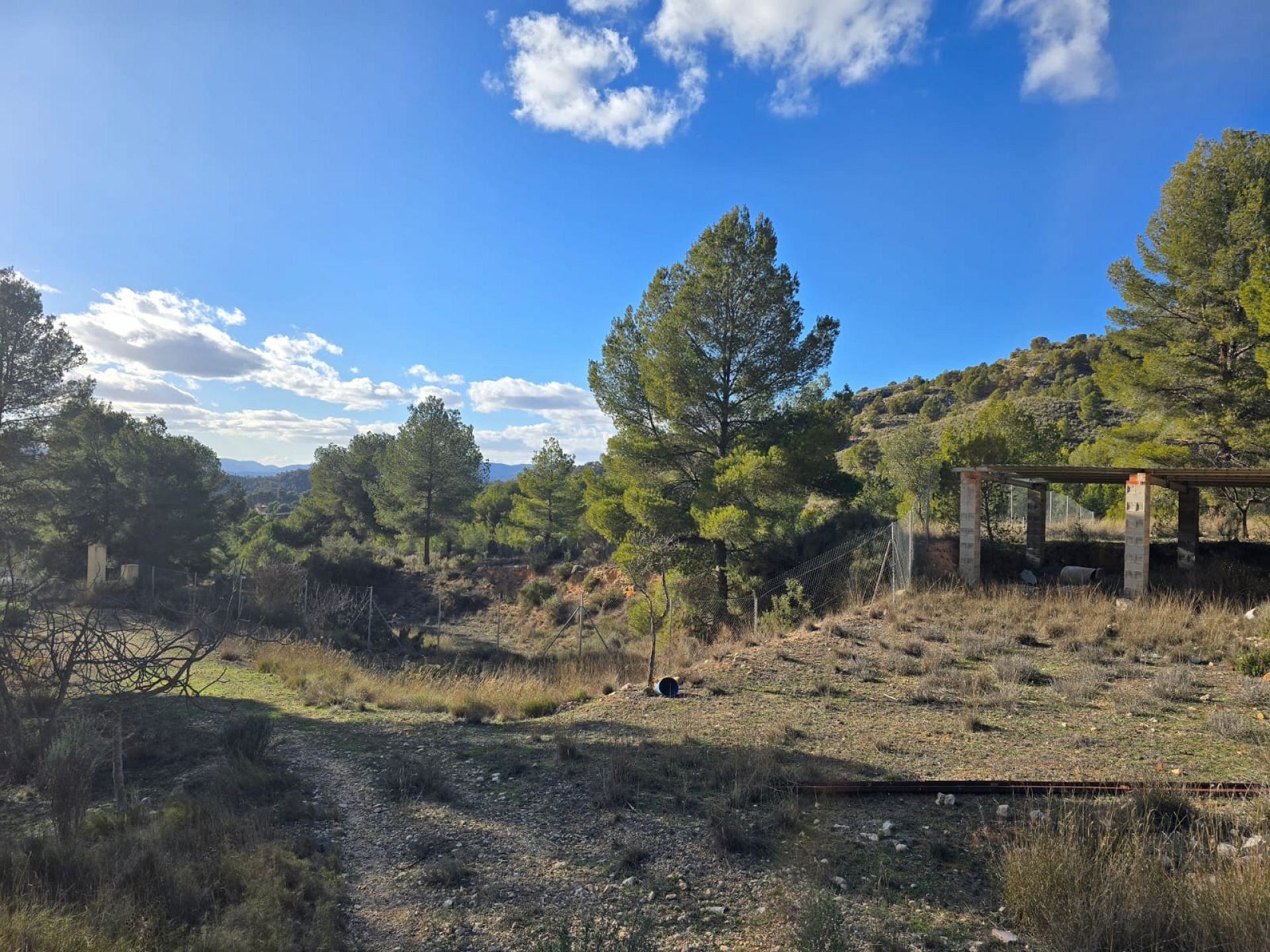 w_whatsapp-image-2026-01-23-at-16.18.50-5-