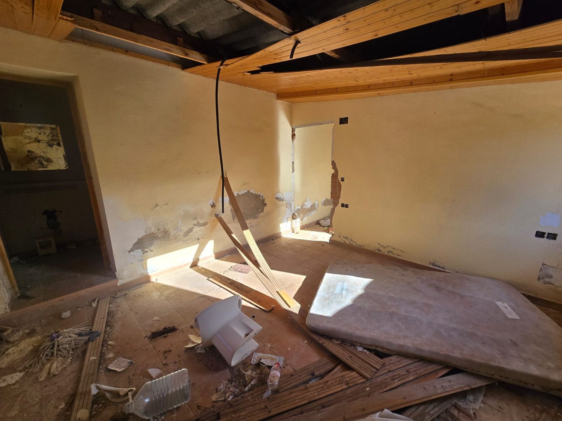 w_whatsapp-image-2026-01-23-at-16.18.50