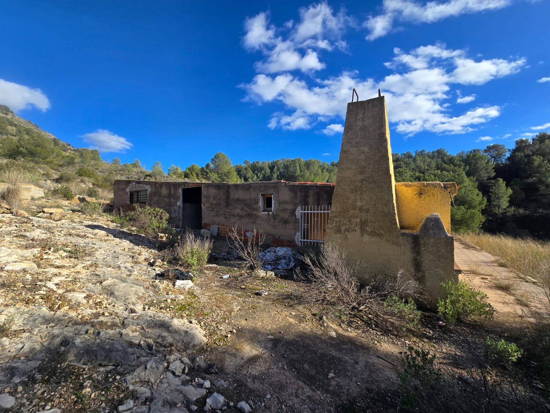 w_whatsapp-image-2026-01-23-at-16.18.51-1-