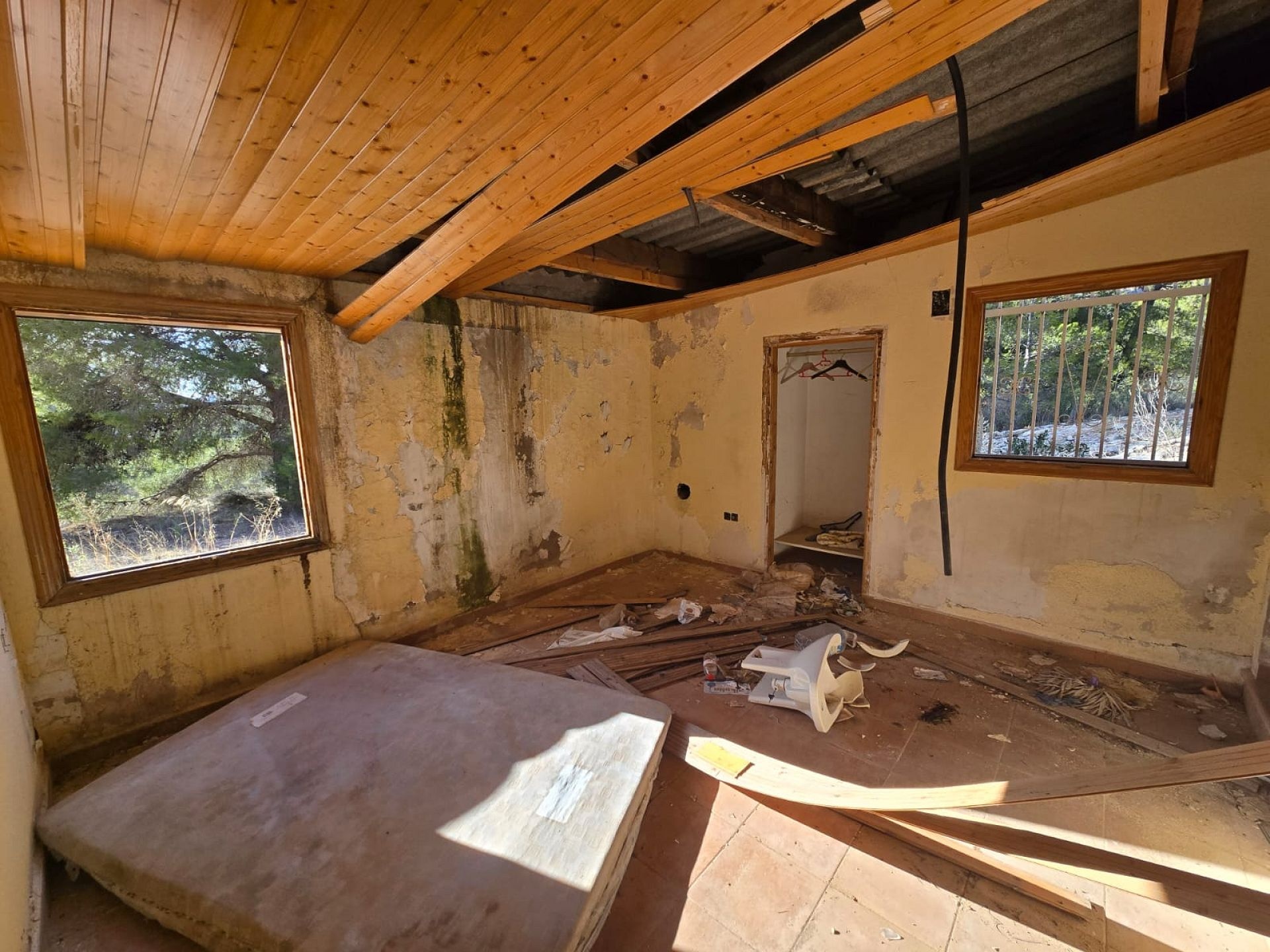 w_whatsapp-image-2026-01-23-at-16.18.51-2-