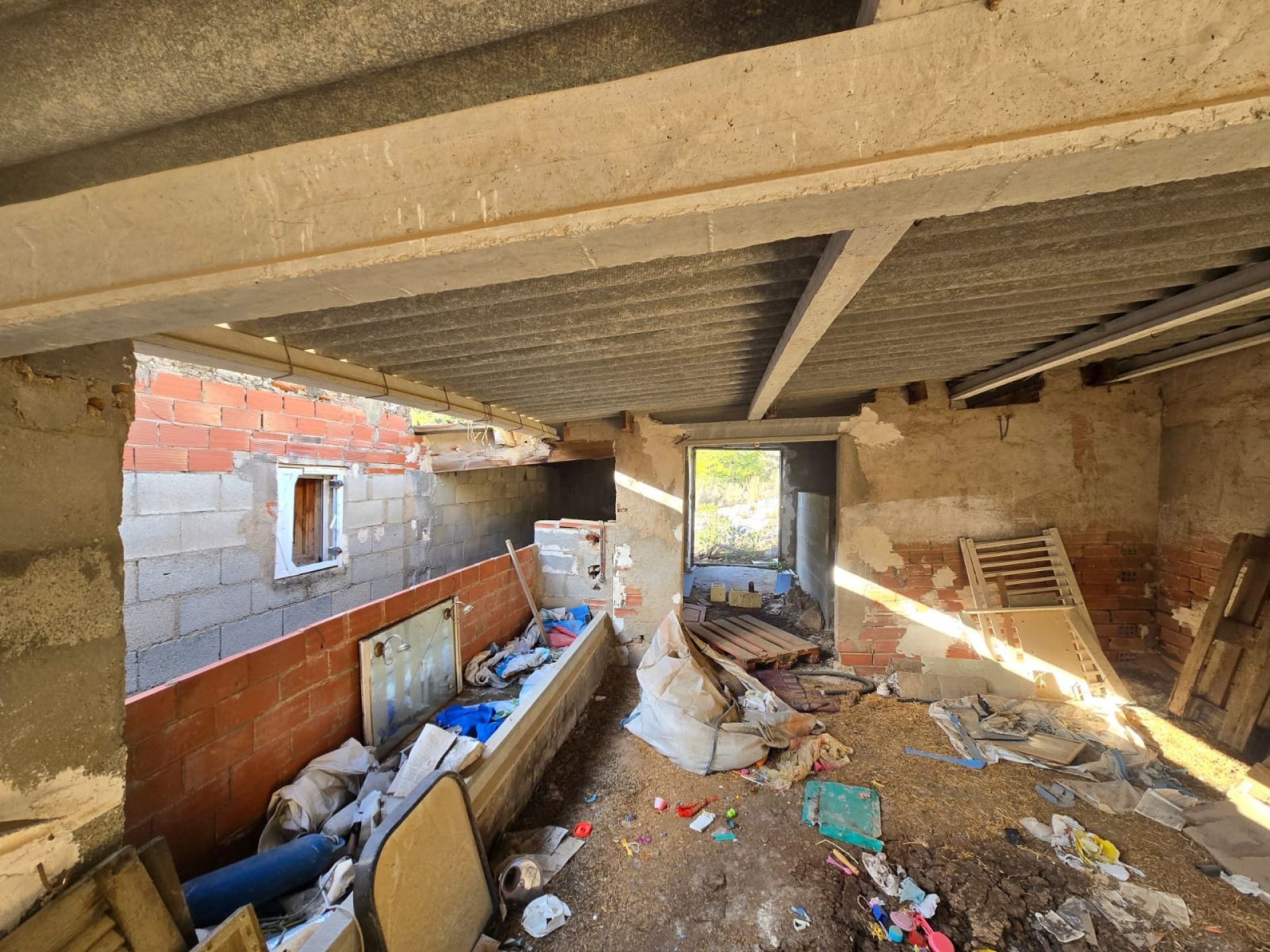 w_whatsapp-image-2026-01-23-at-16.18.51-4-