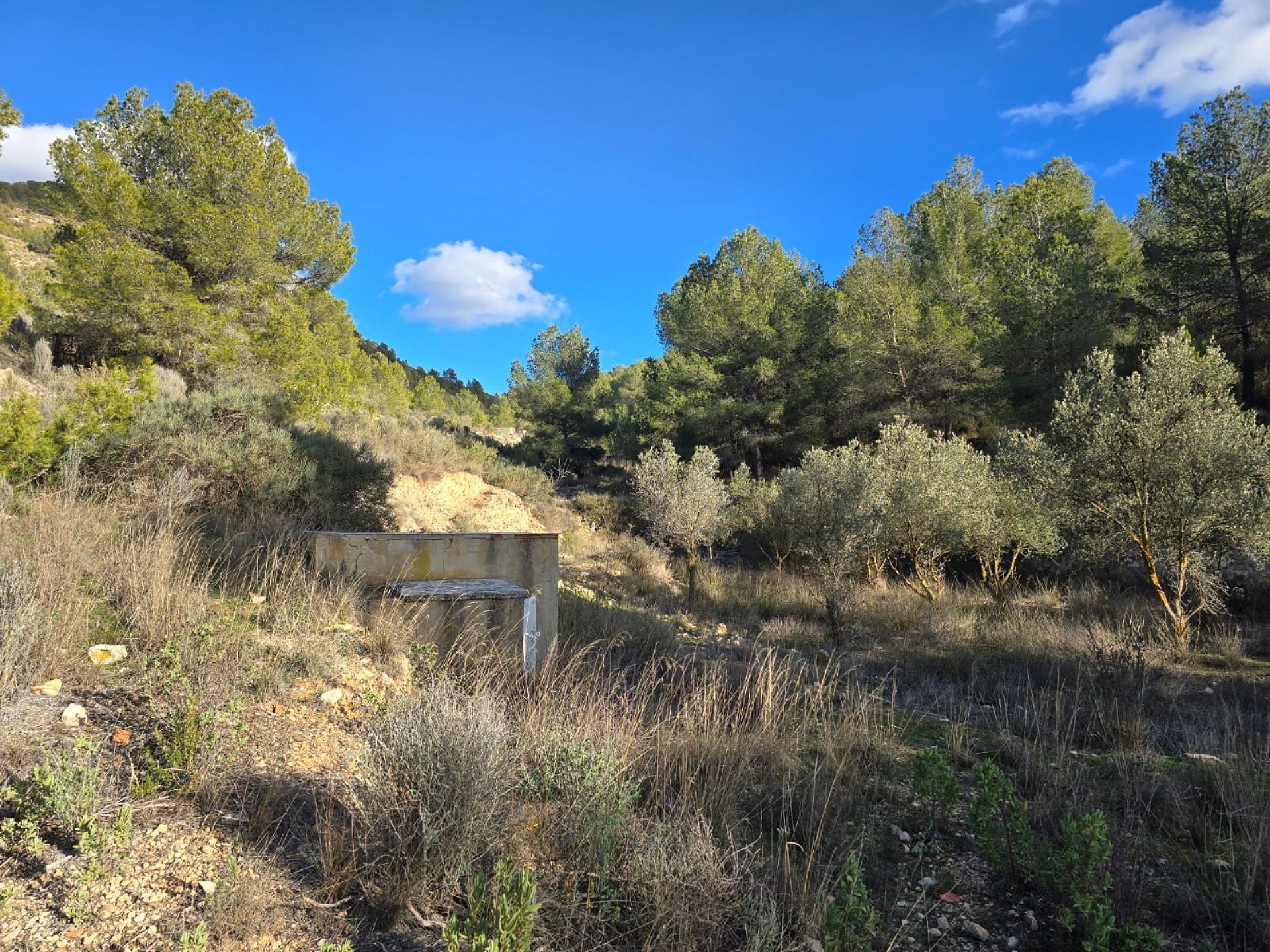 w_whatsapp-image-2026-01-23-at-16.18.52-1-