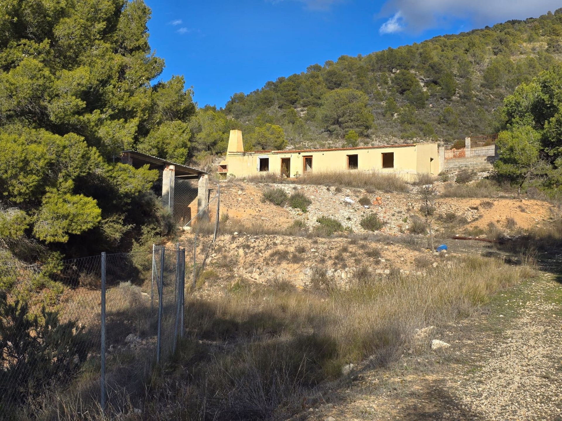 w_whatsapp-image-2026-01-23-at-16.18.52-2-