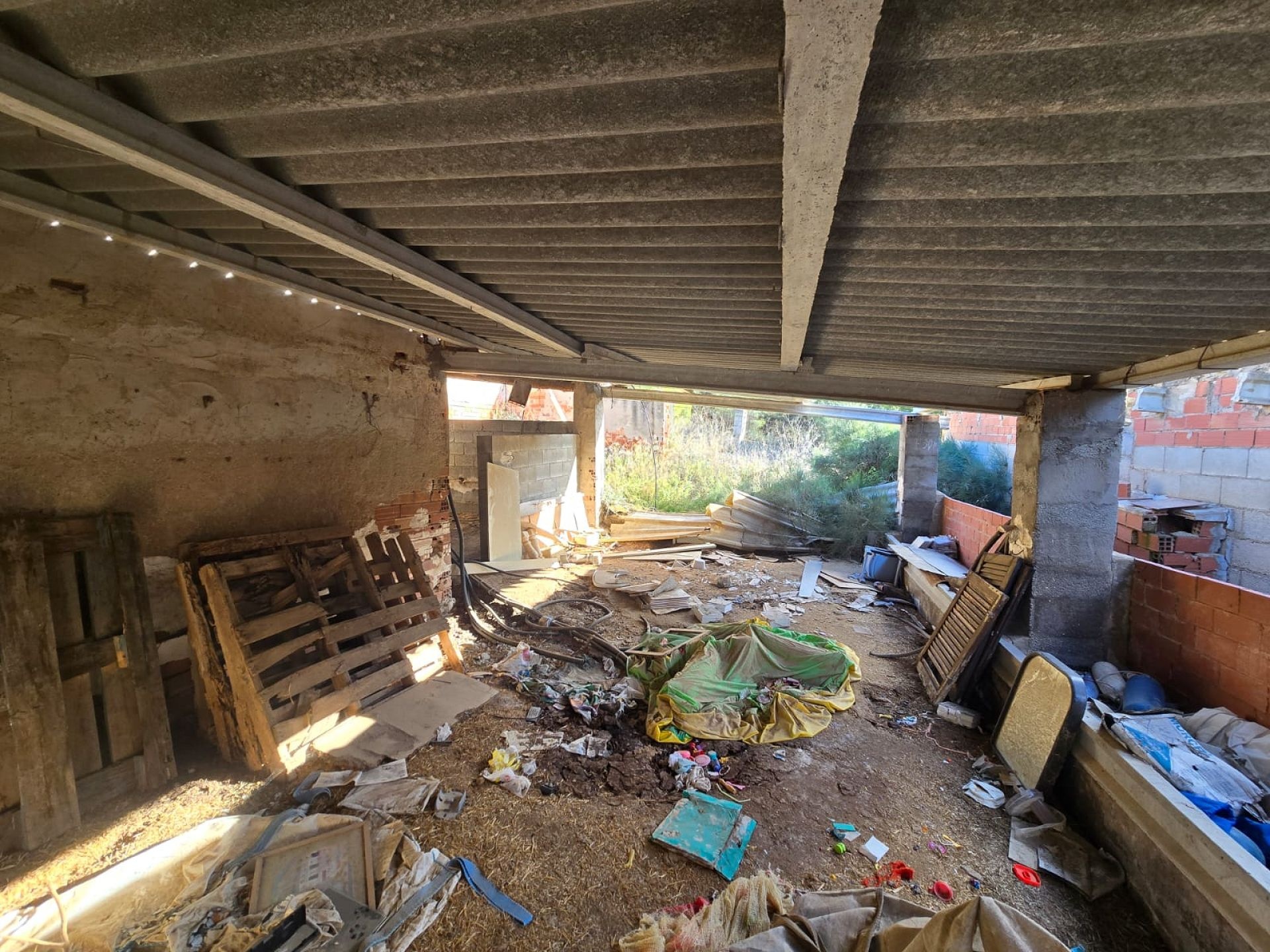 w_whatsapp-image-2026-01-23-at-16.18.52-3-