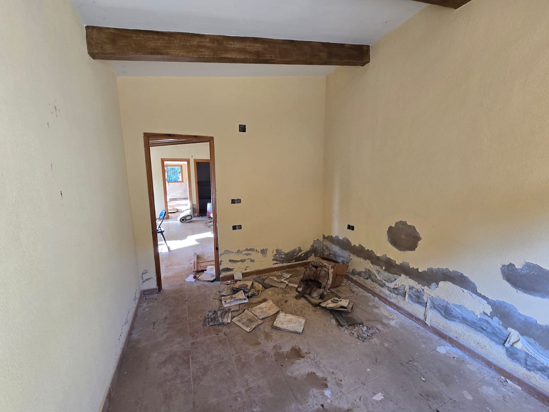 w_whatsapp-image-2026-01-23-at-16.18.52