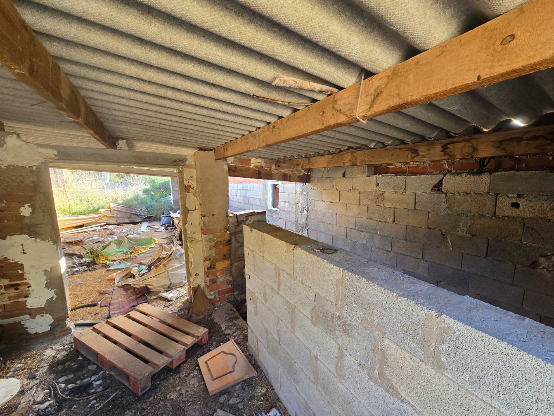 w_whatsapp-image-2026-01-23-at-16.18.53-1-